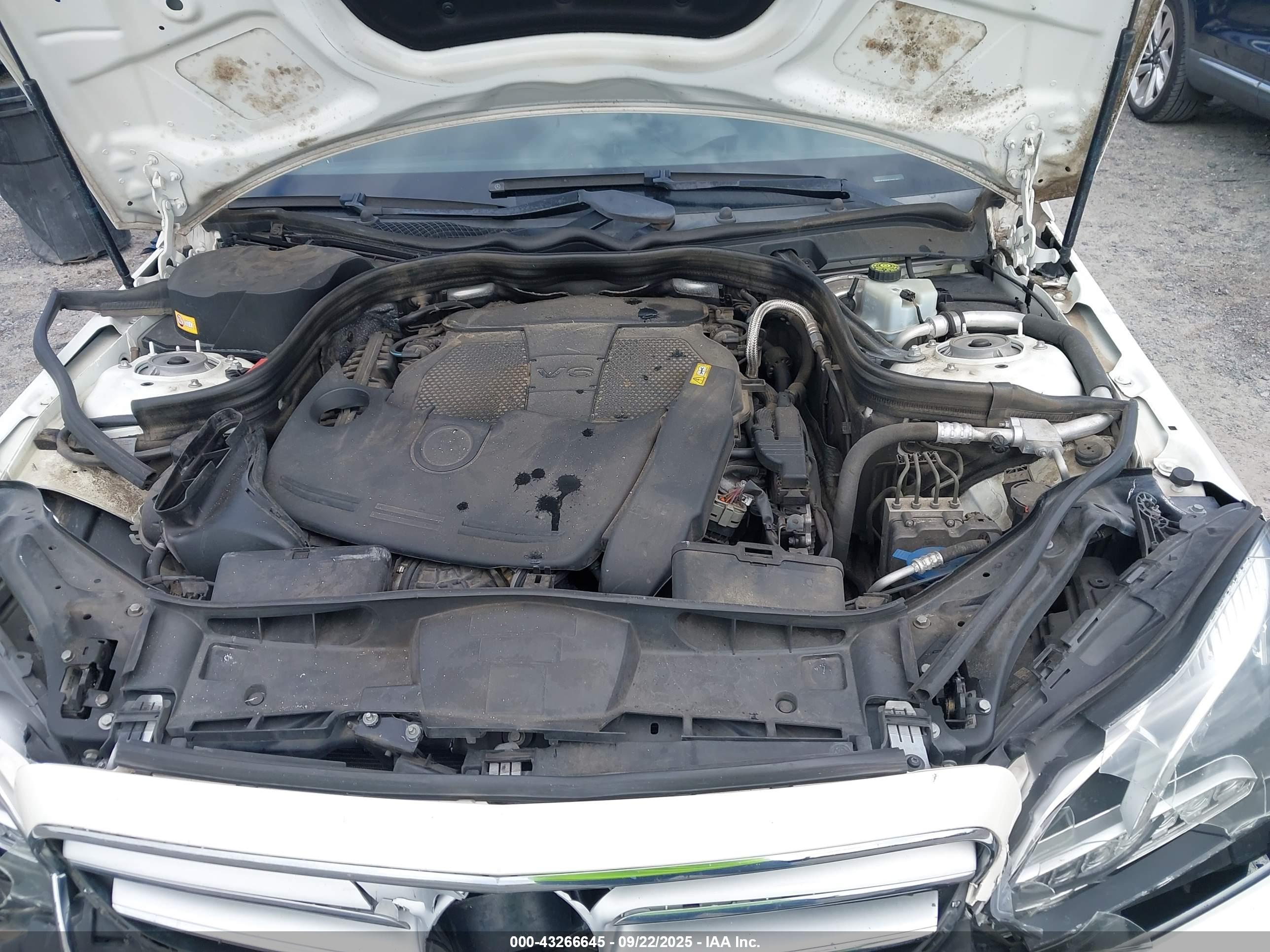 MERCEDES-BENZ E image 10