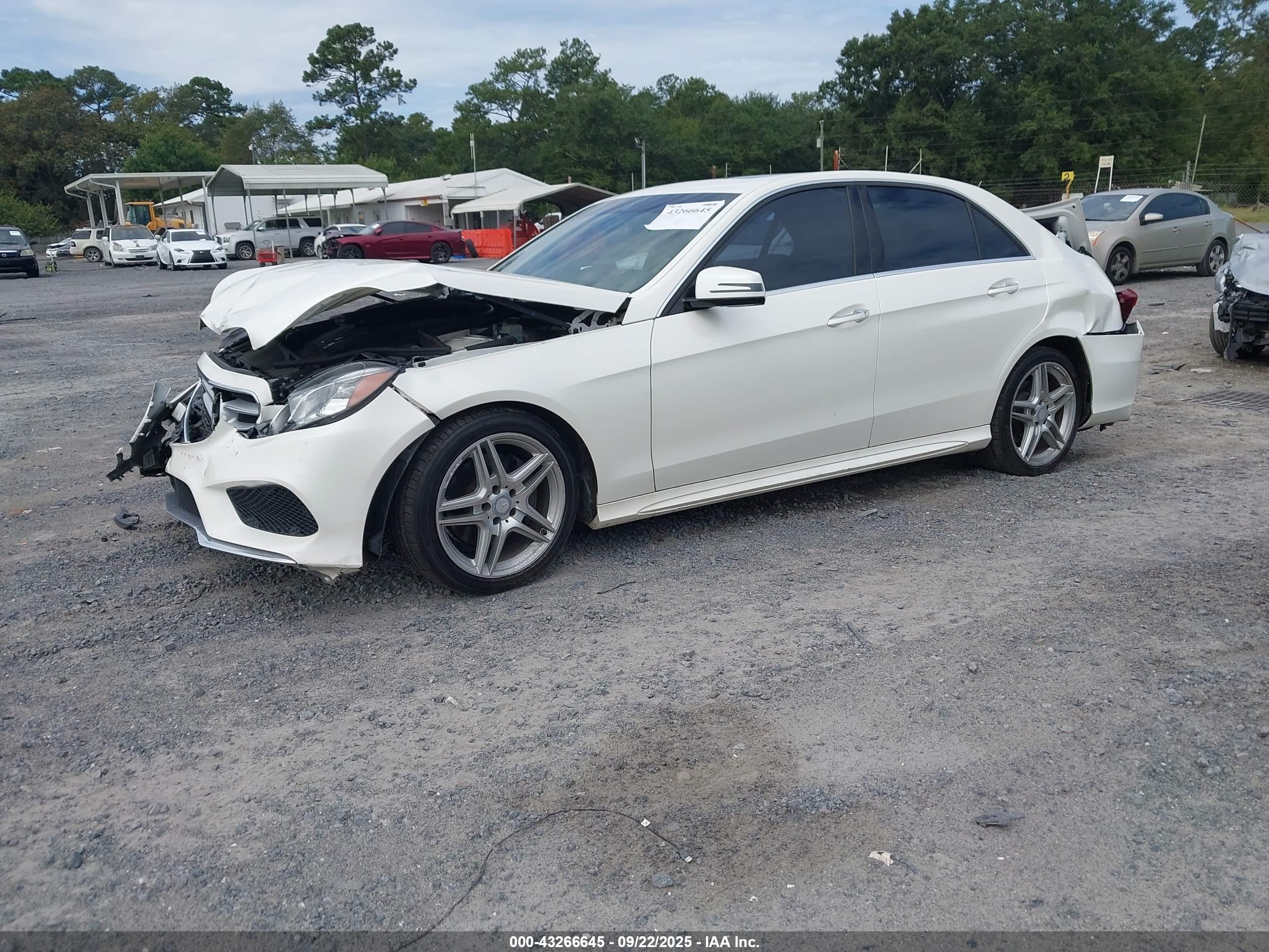 MERCEDES-BENZ E image 2