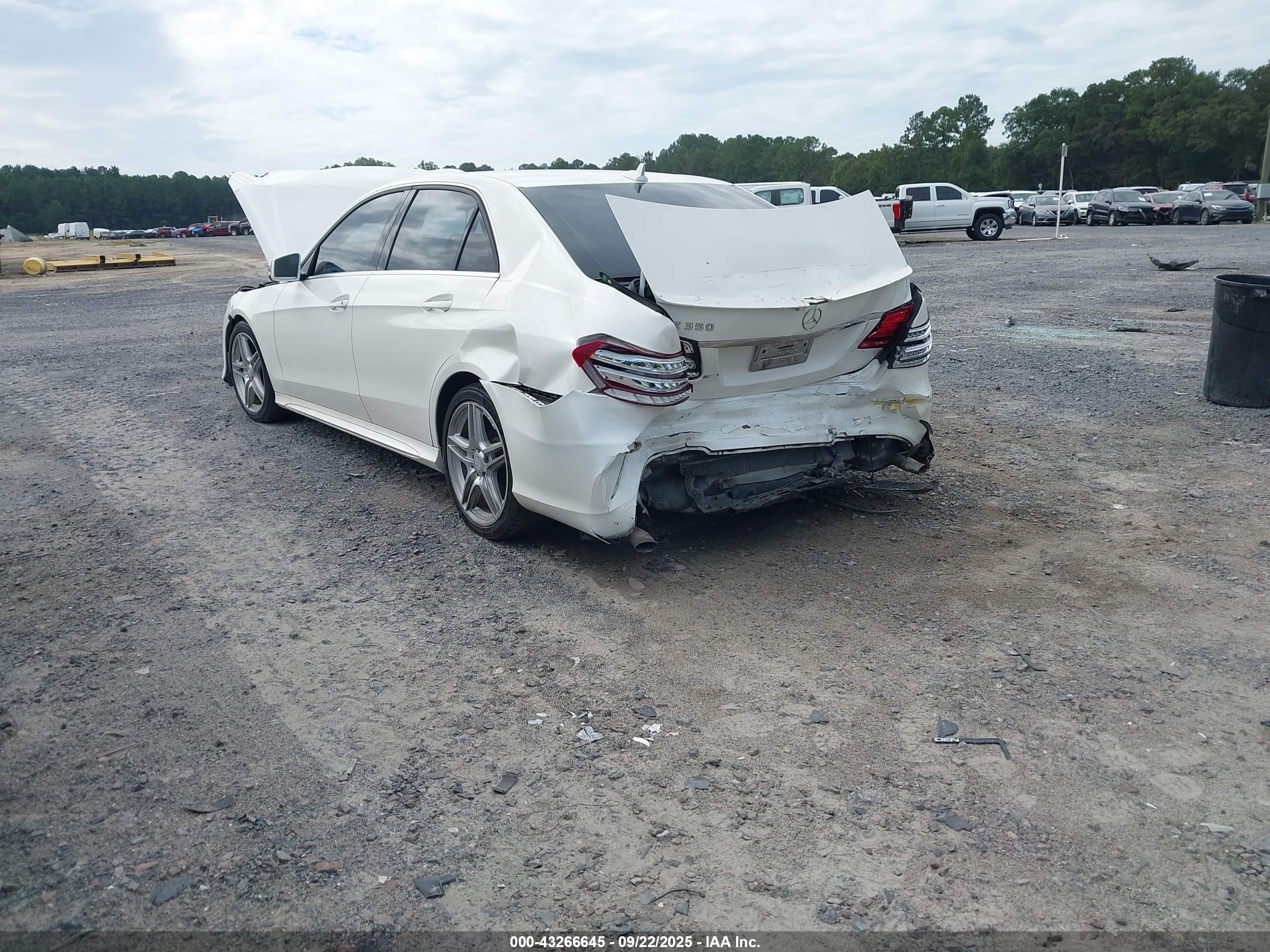 MERCEDES-BENZ E image 3