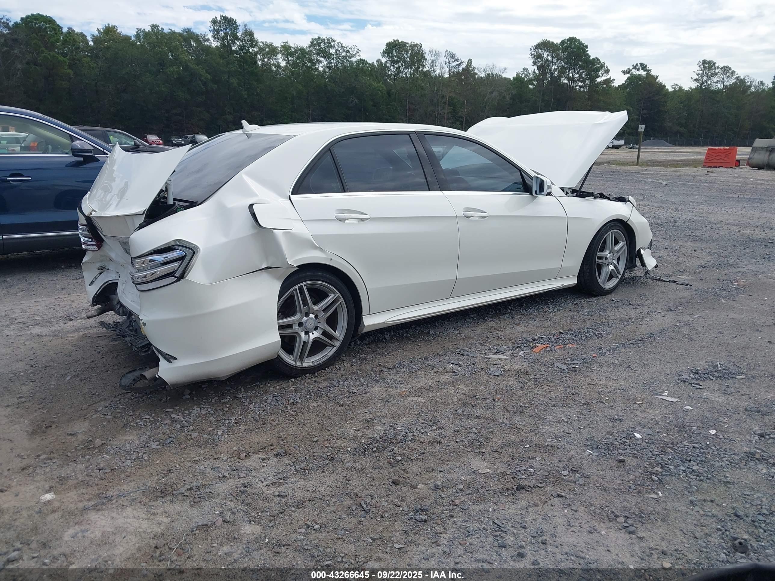 MERCEDES-BENZ E image 4