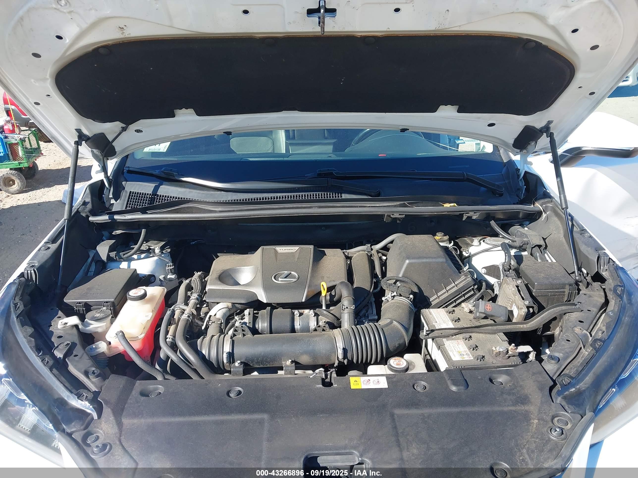 LEXUS NX image 10