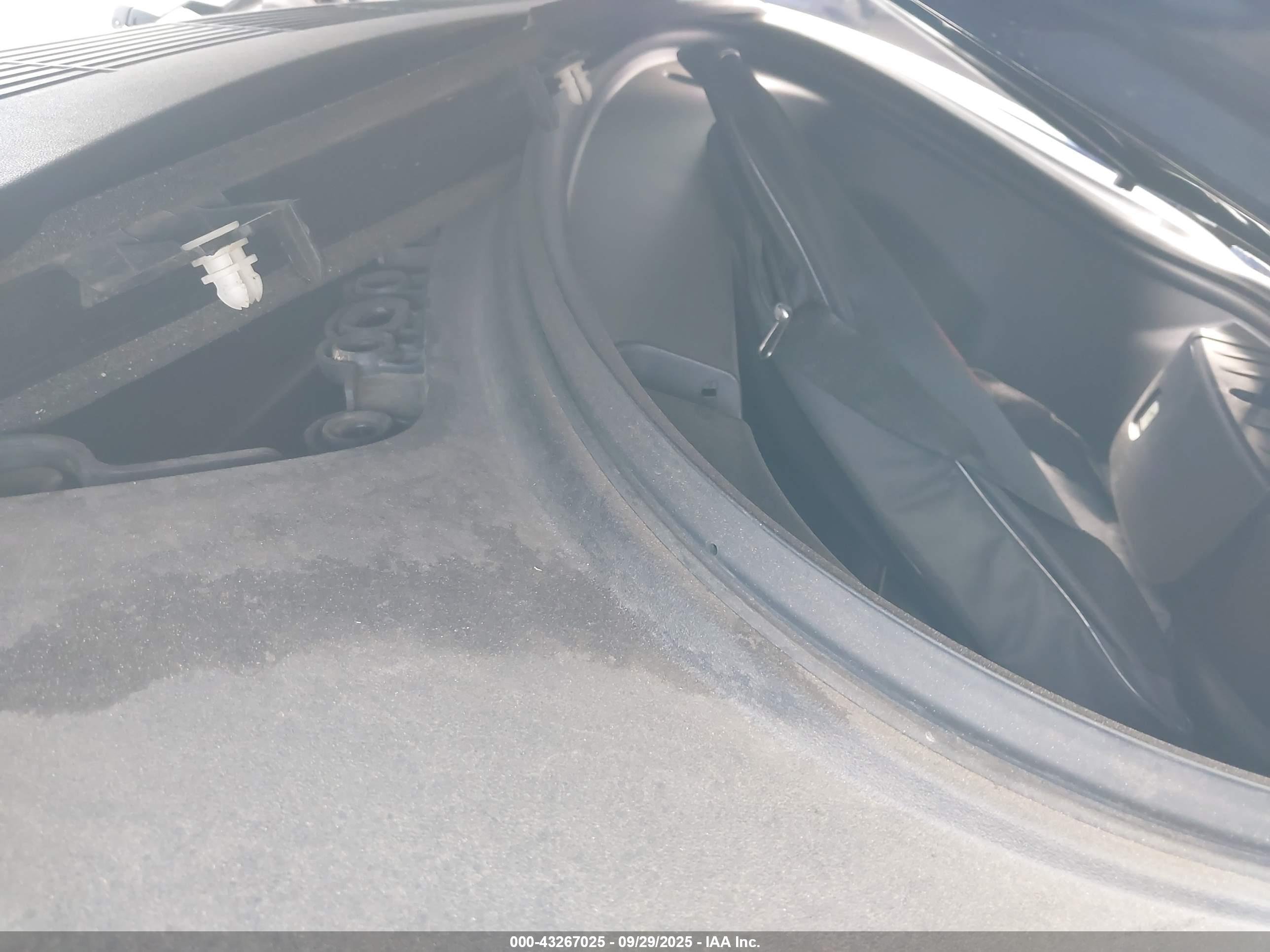 TESLA MODEL image 10