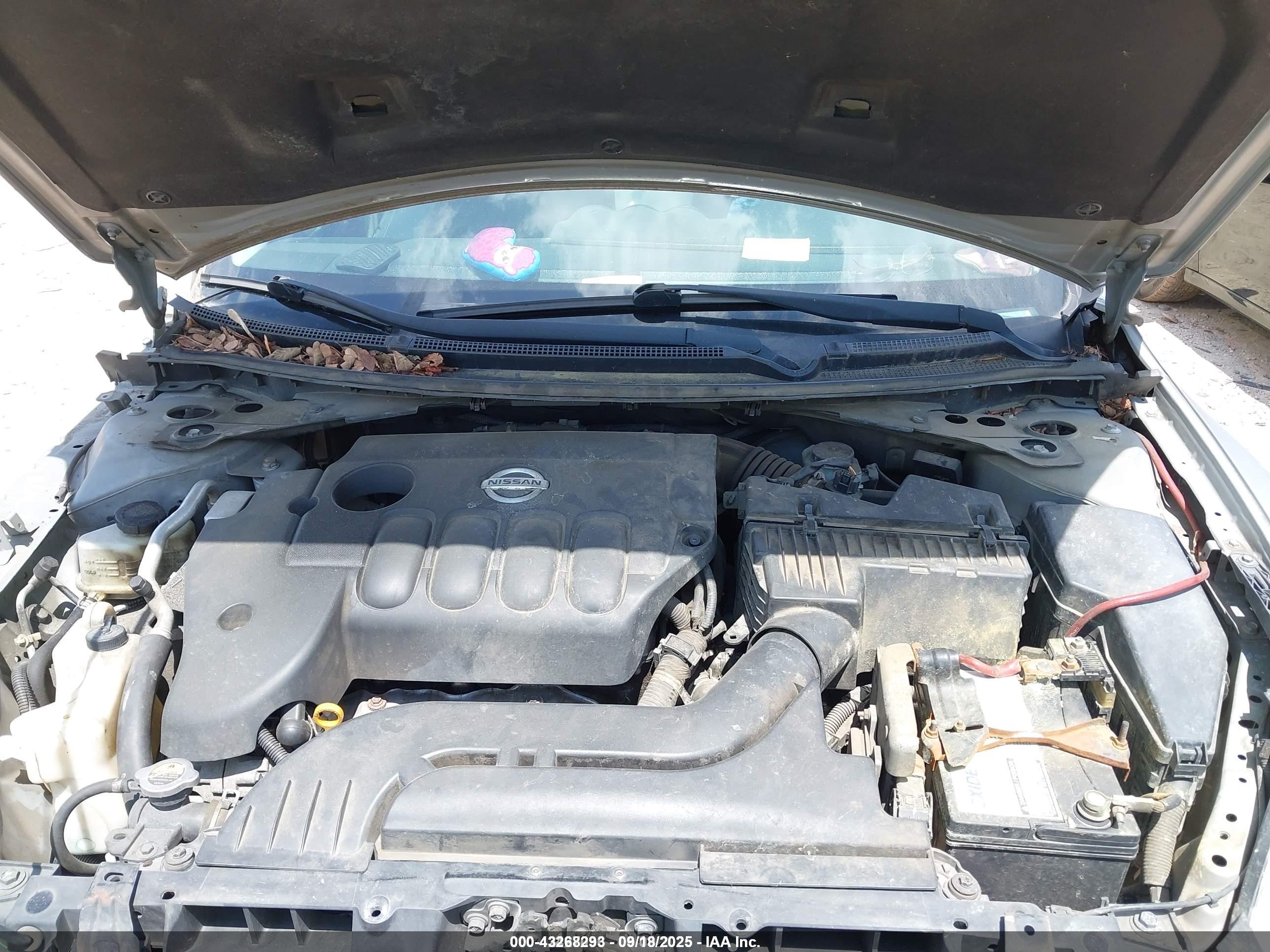 NISSAN ALTIMA image 10