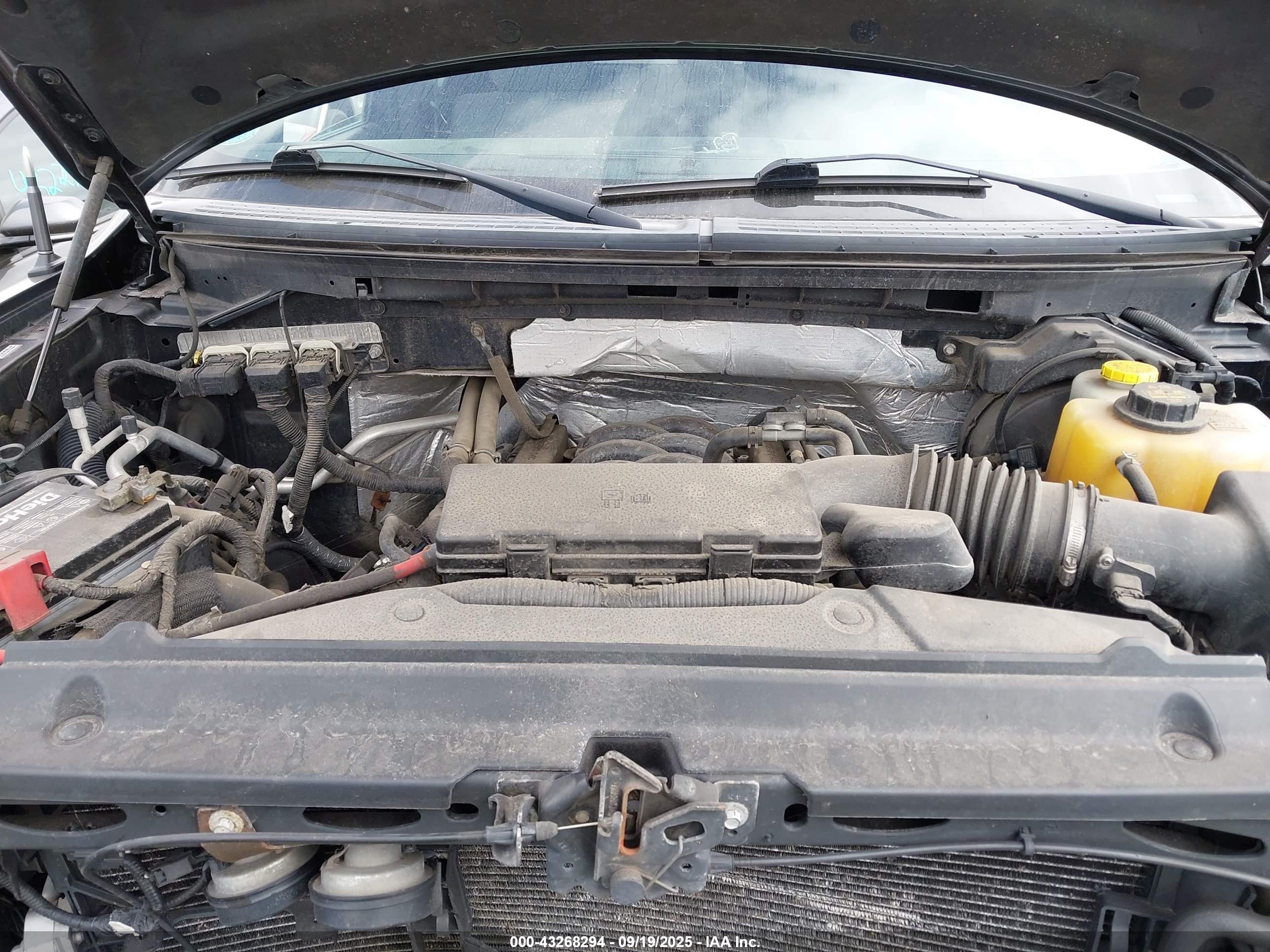 FORD F-150 image 10