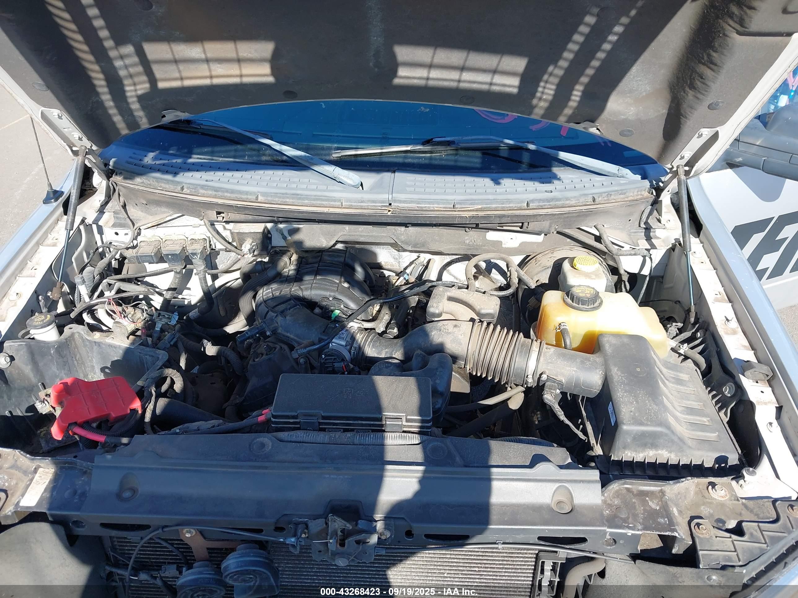 FORD F-150 image 10