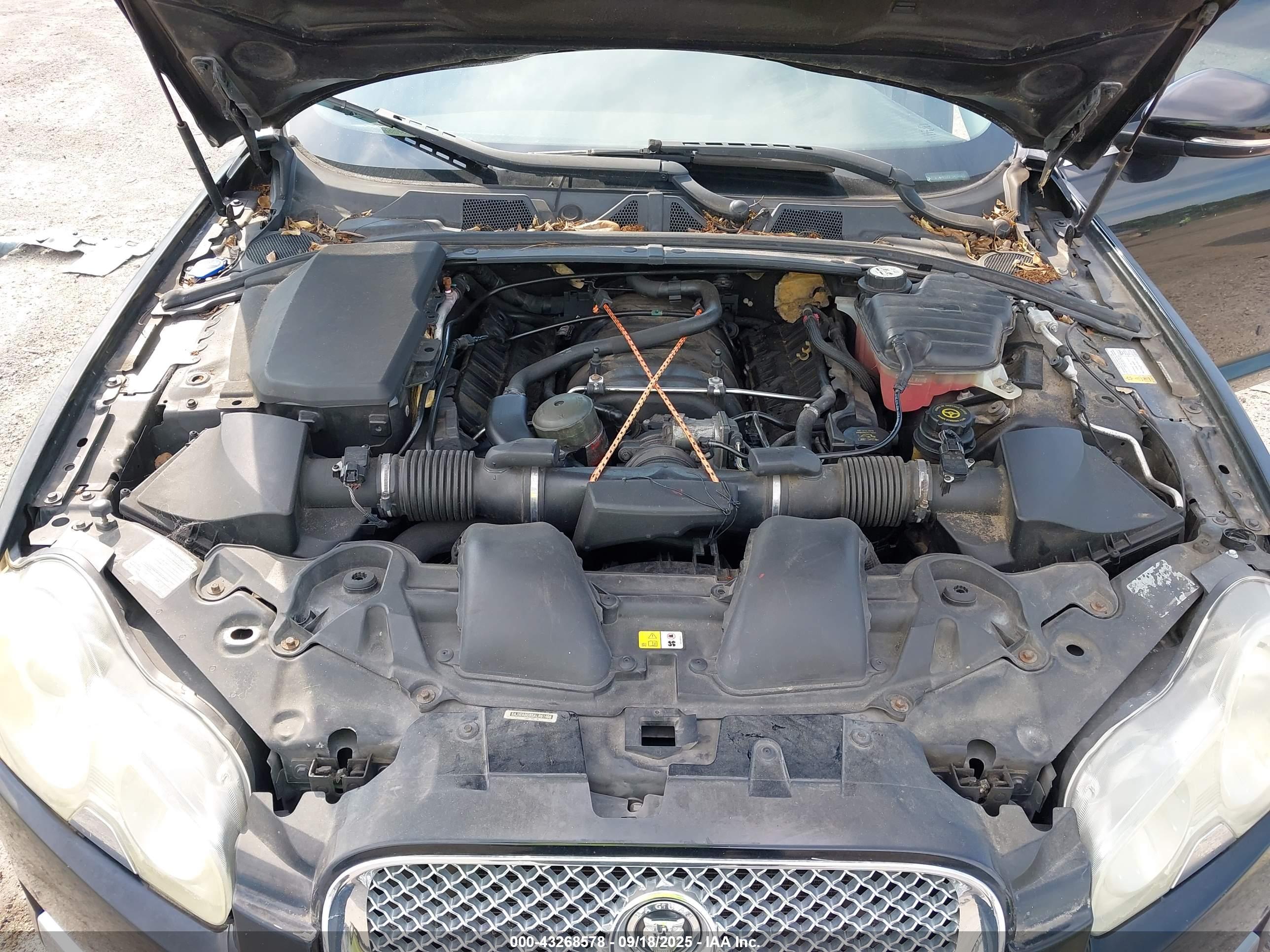 JAGUAR XF image 10