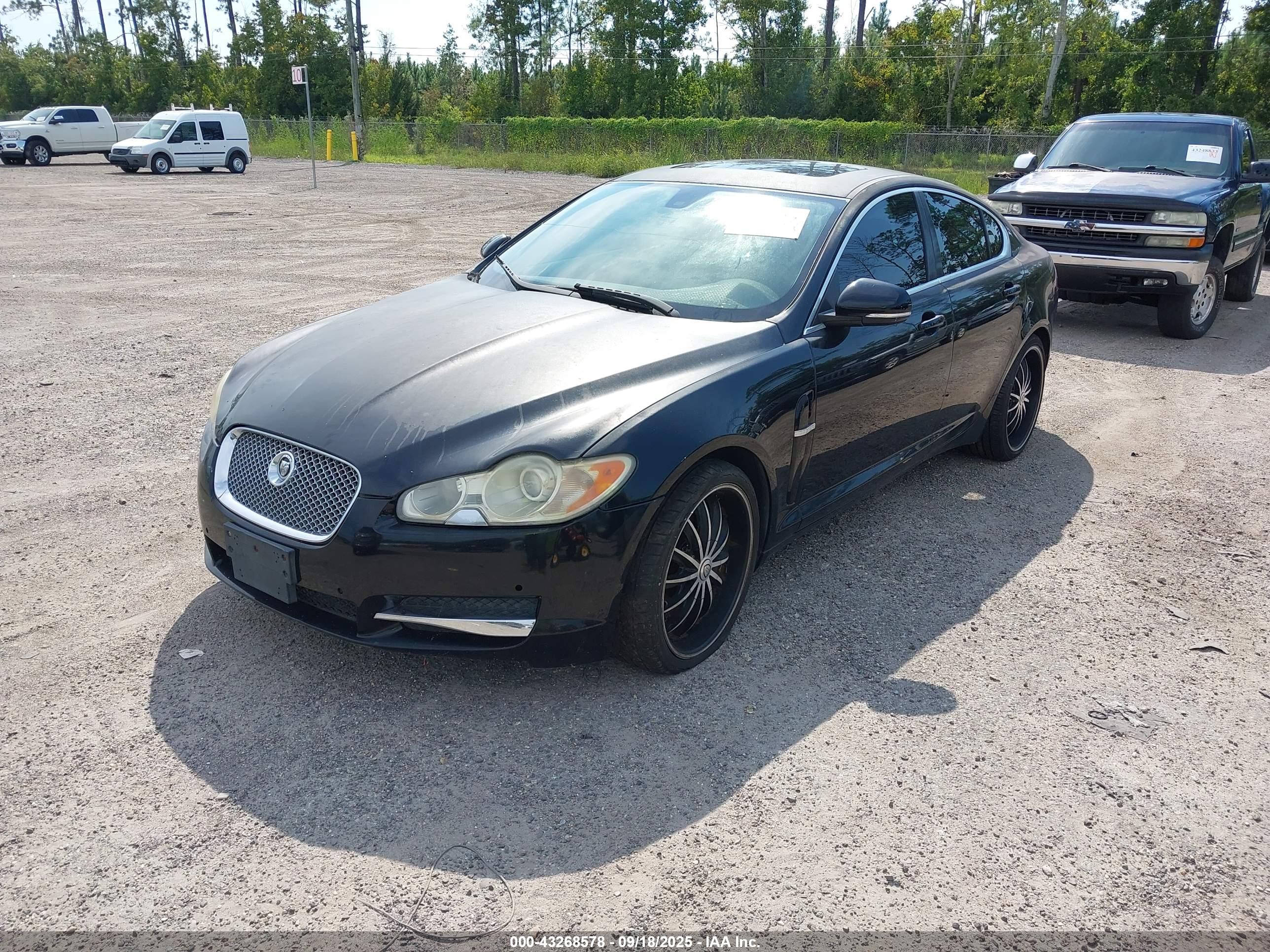 JAGUAR XF image 2
