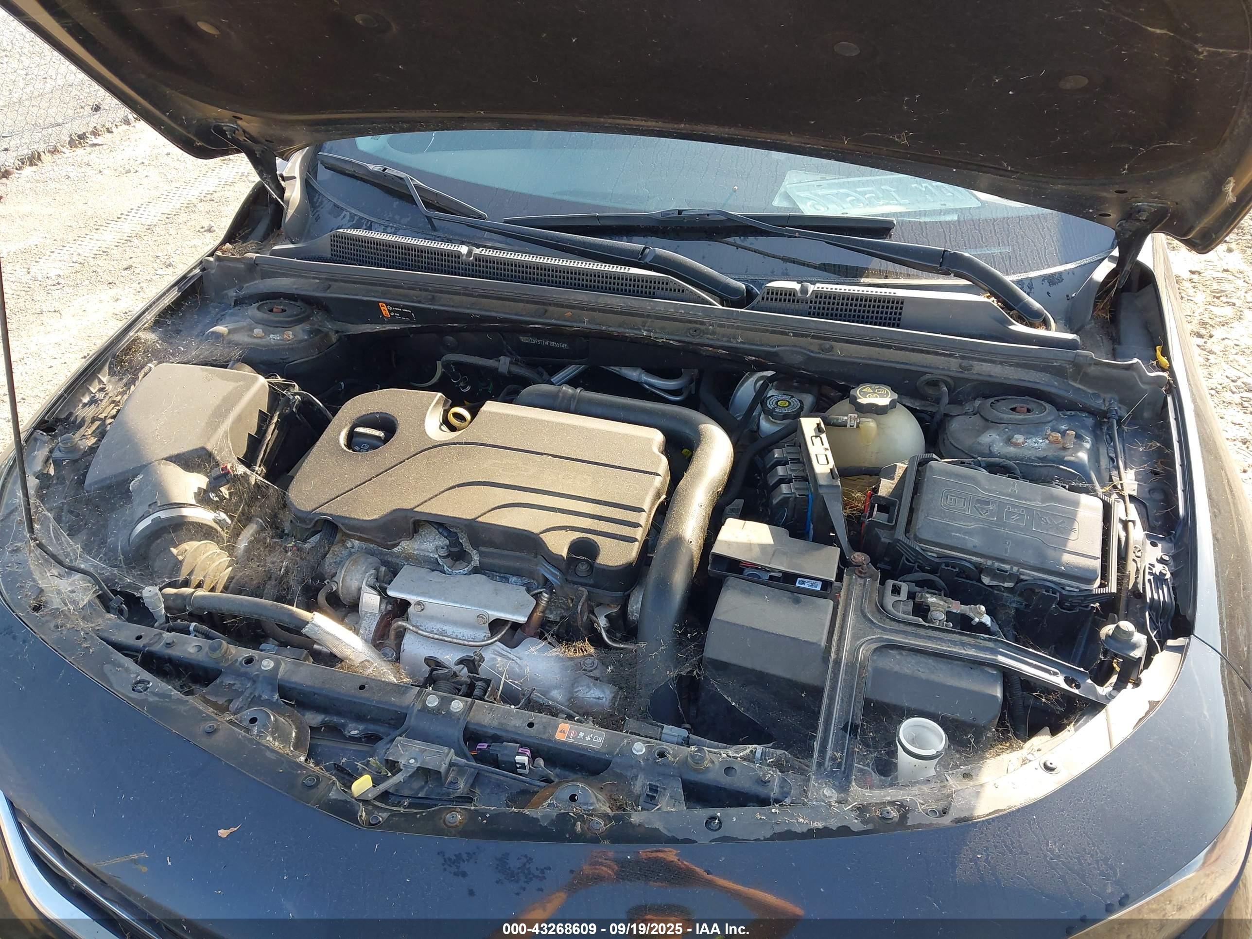 CHEVROLET MALIBU image 10