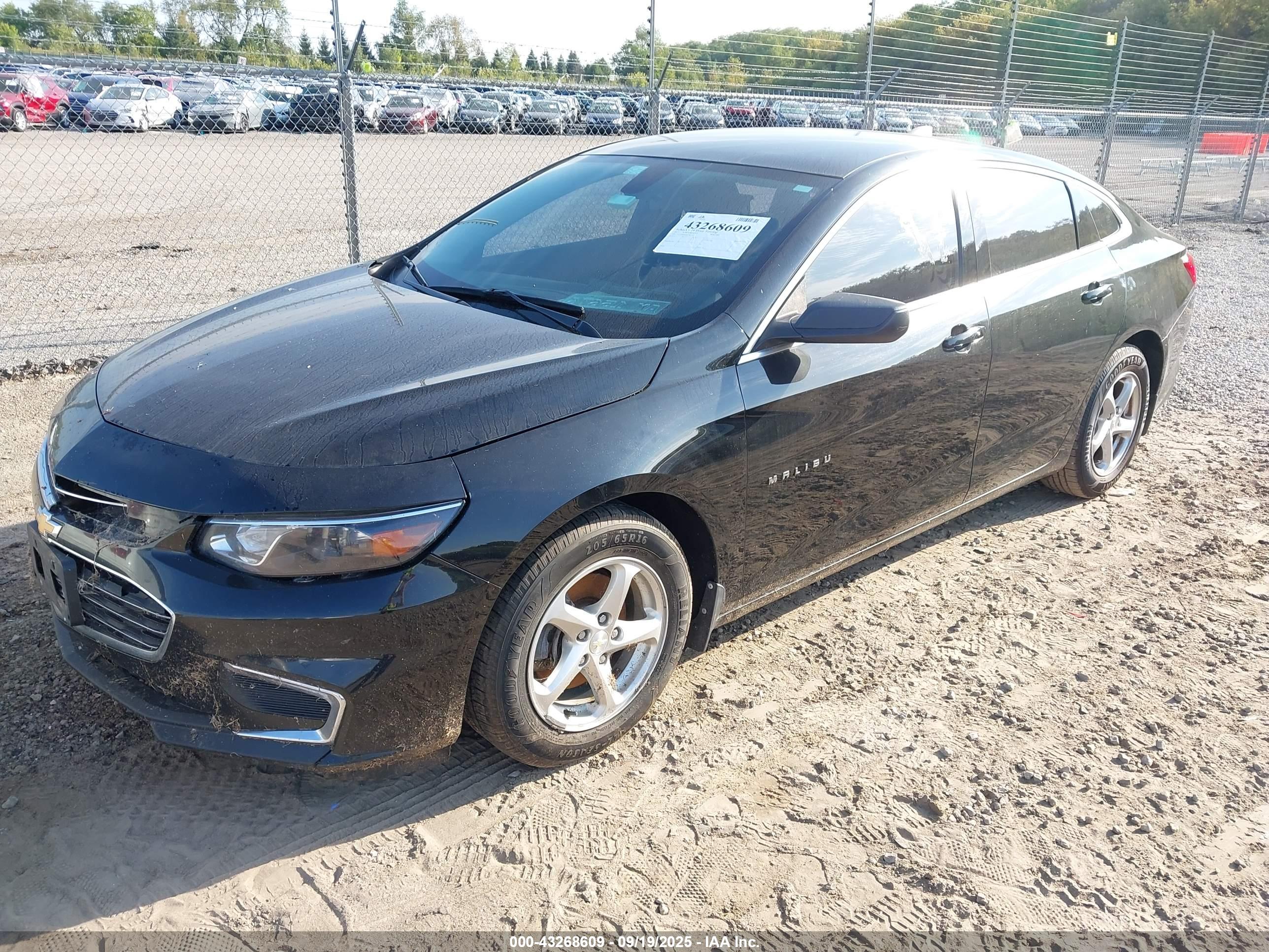 CHEVROLET MALIBU image 2