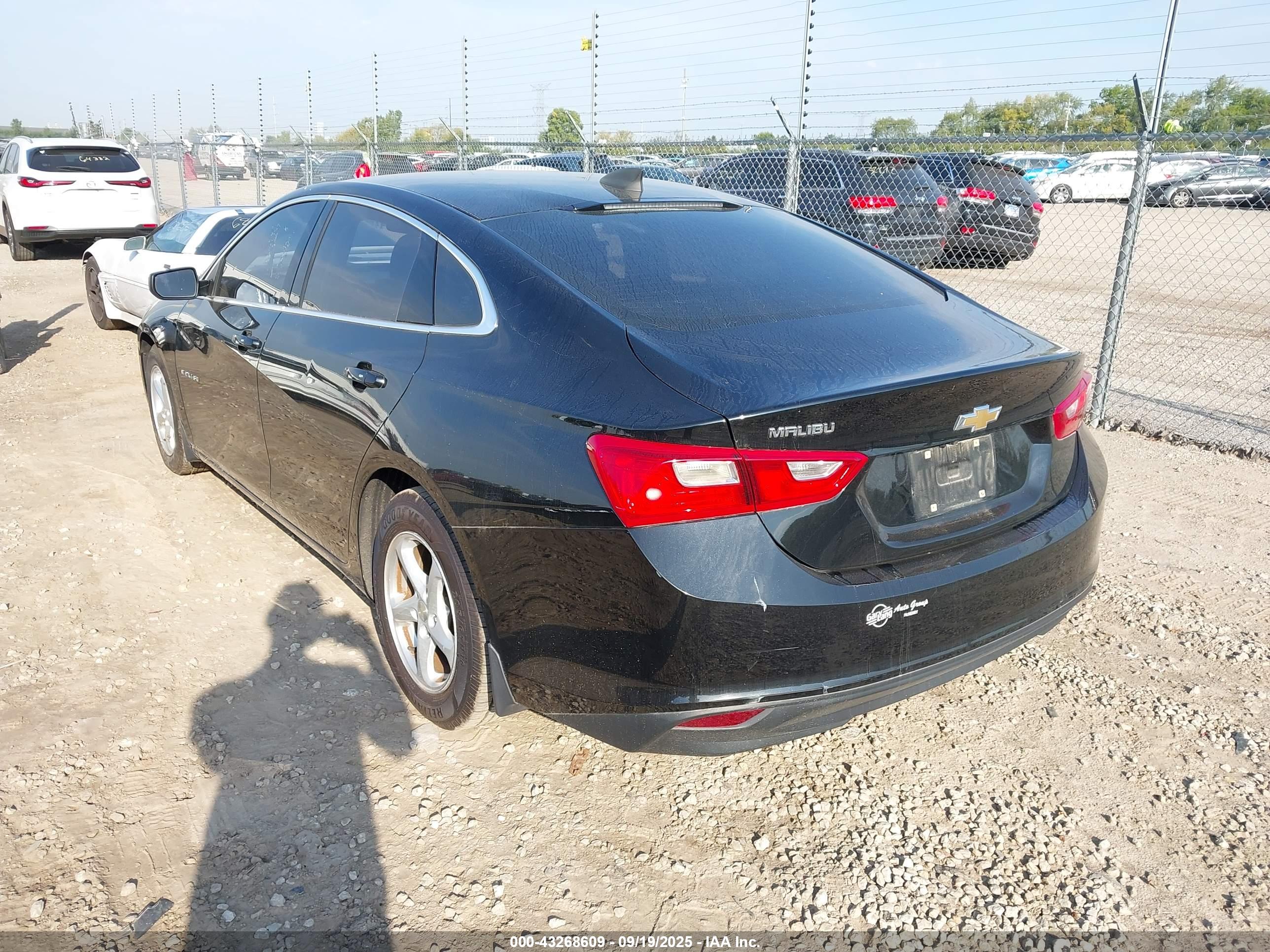 CHEVROLET MALIBU image 3