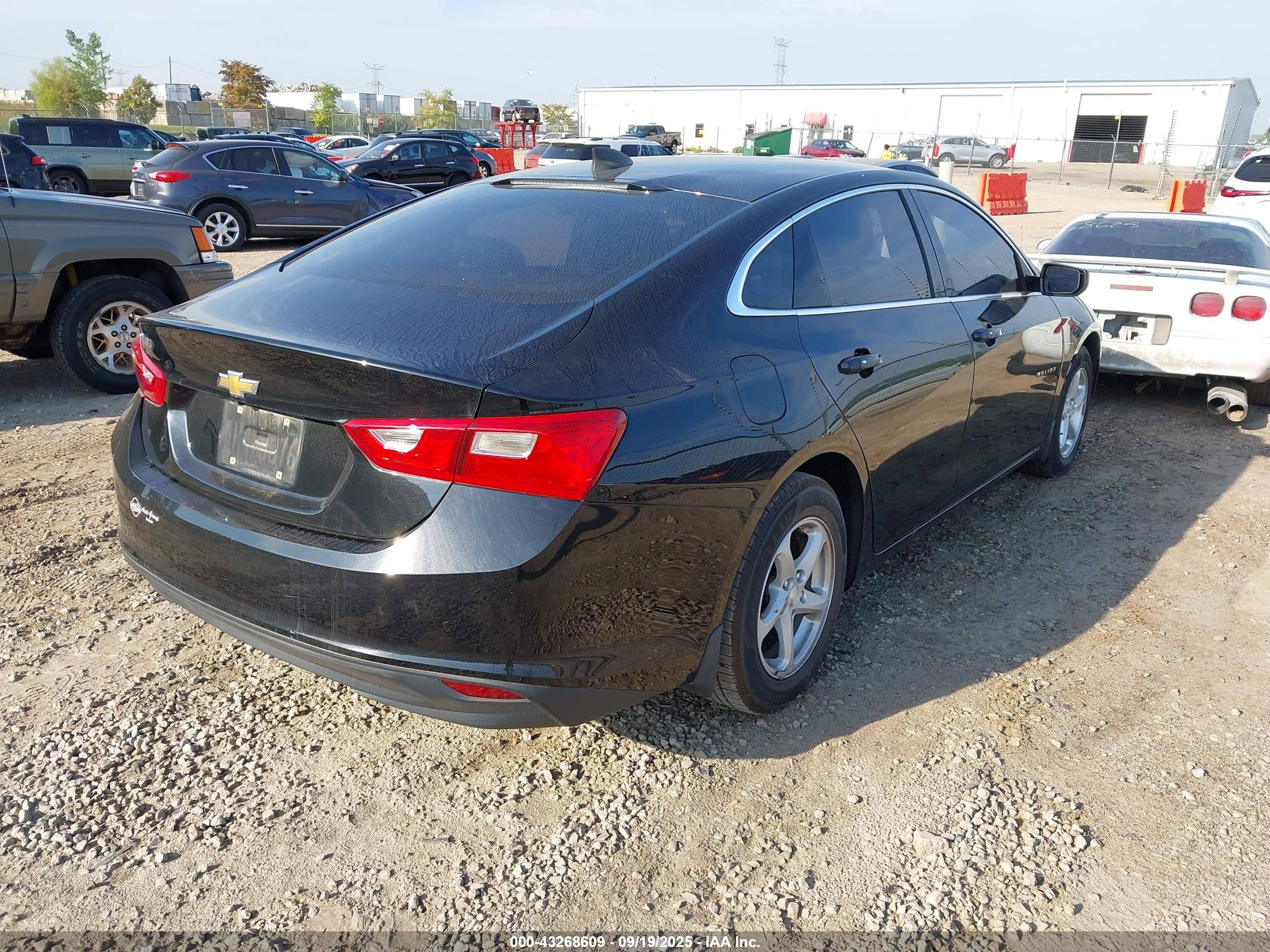 CHEVROLET MALIBU image 4