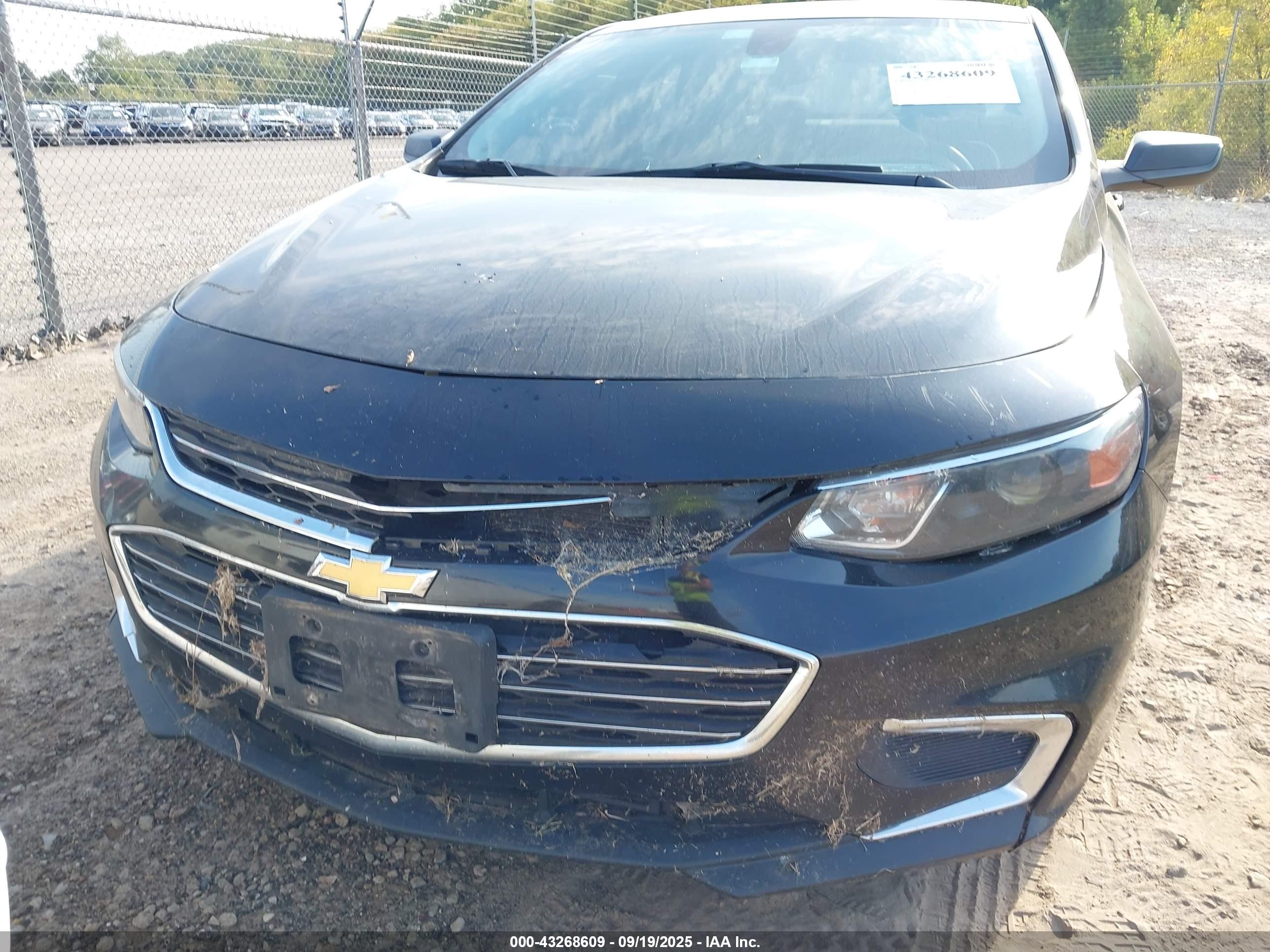 CHEVROLET MALIBU image 6
