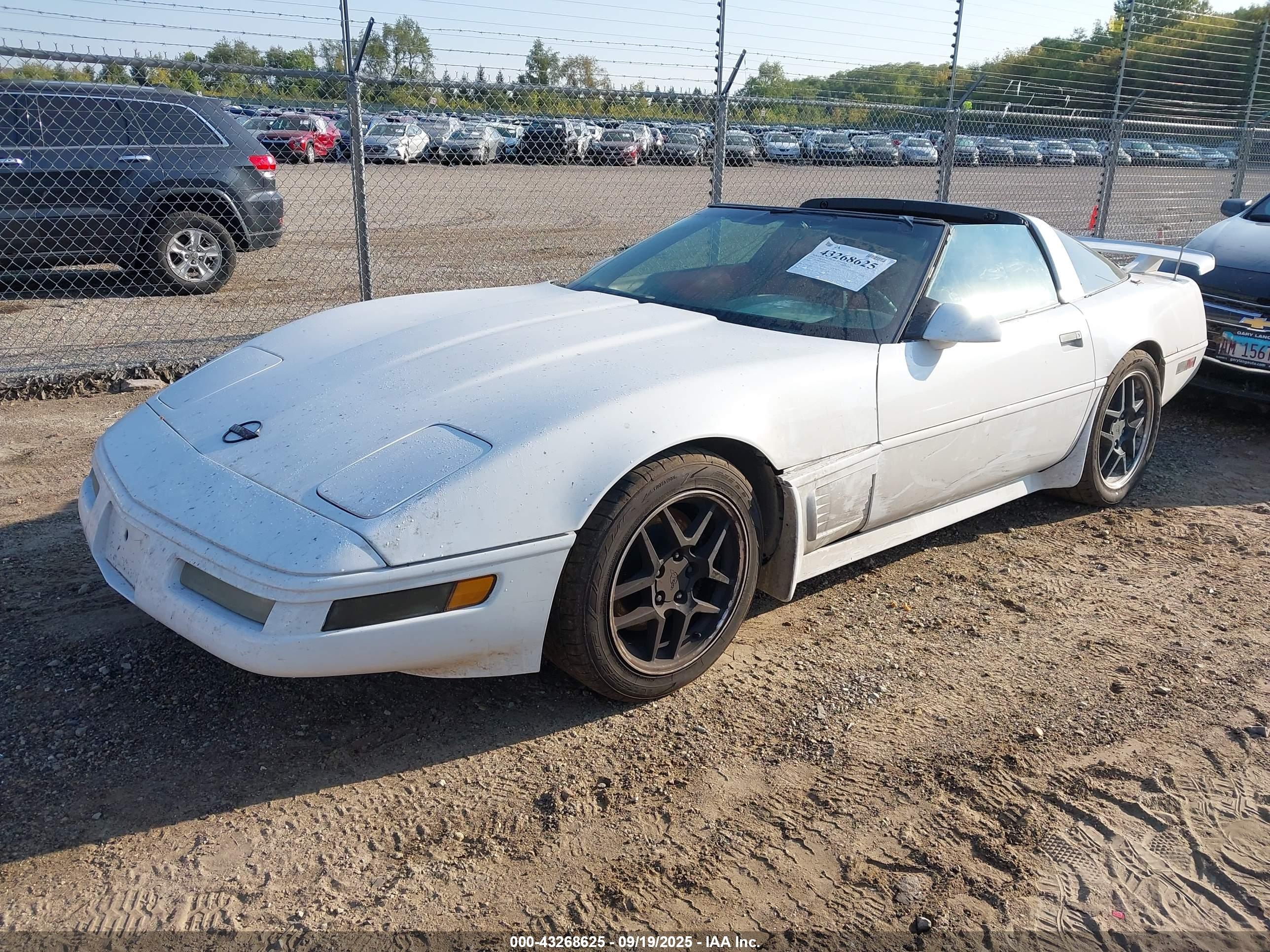 CHEVROLET CORVETTE image 2