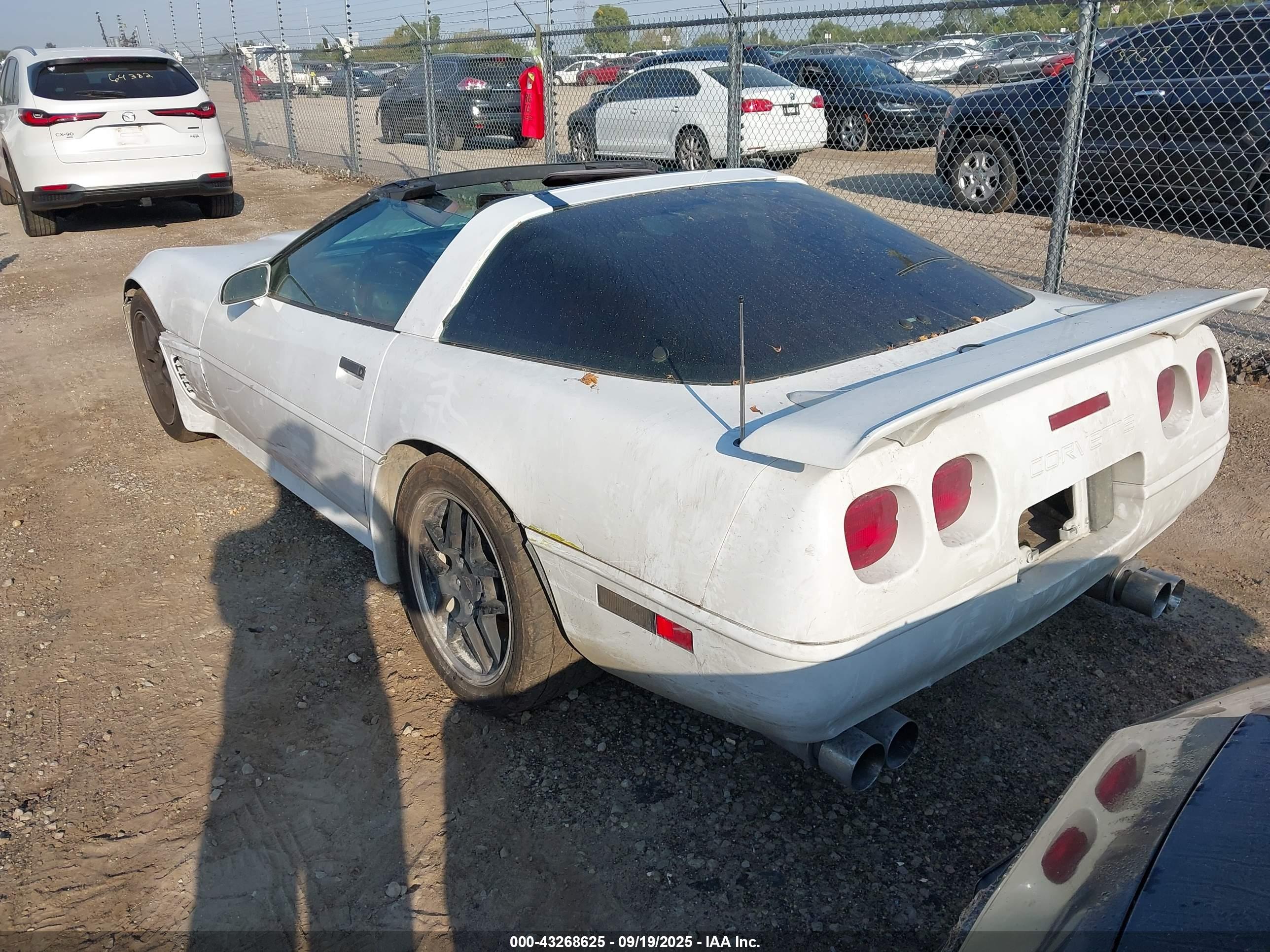 CHEVROLET CORVETTE image 3