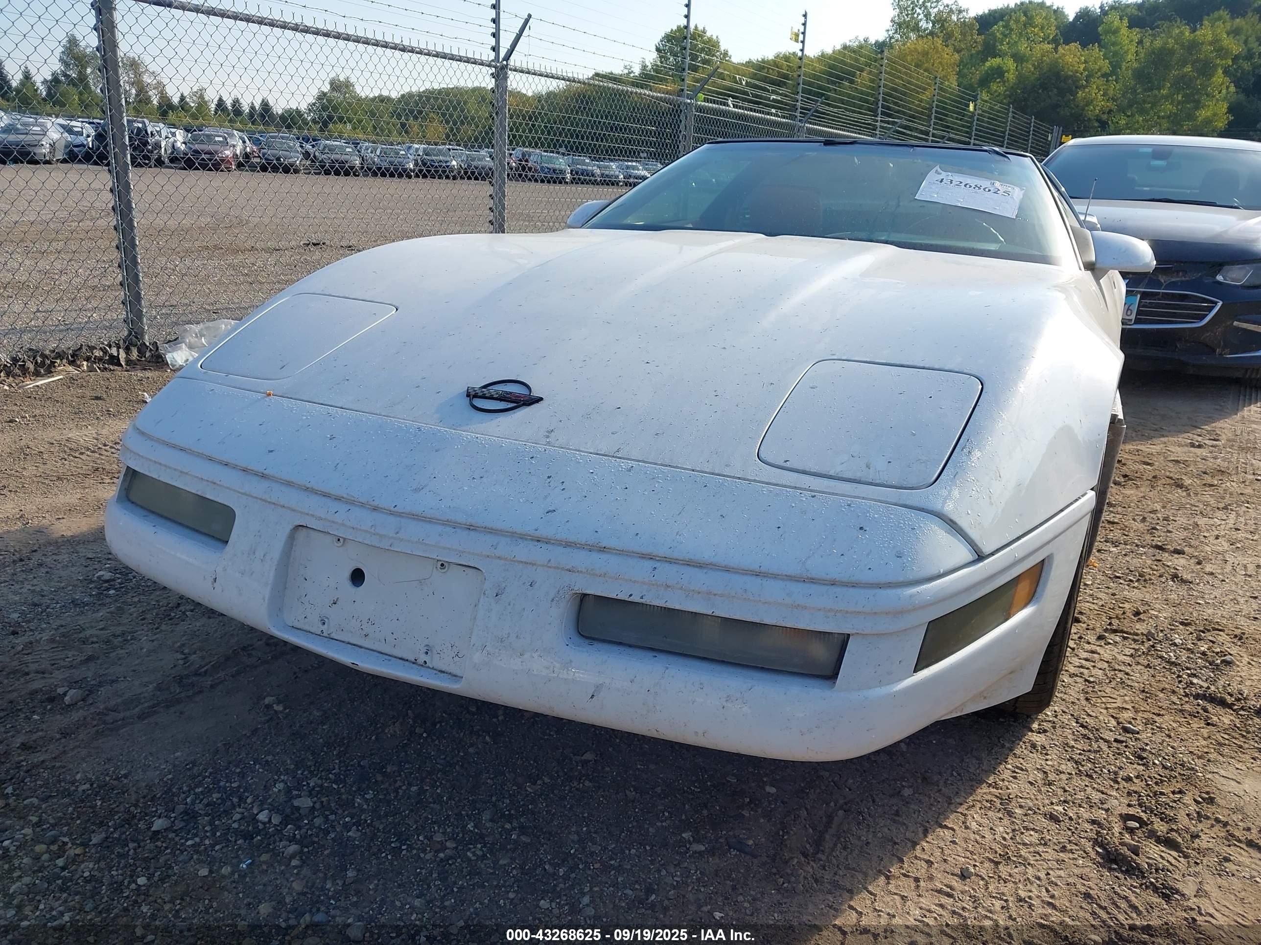 CHEVROLET CORVETTE image 6