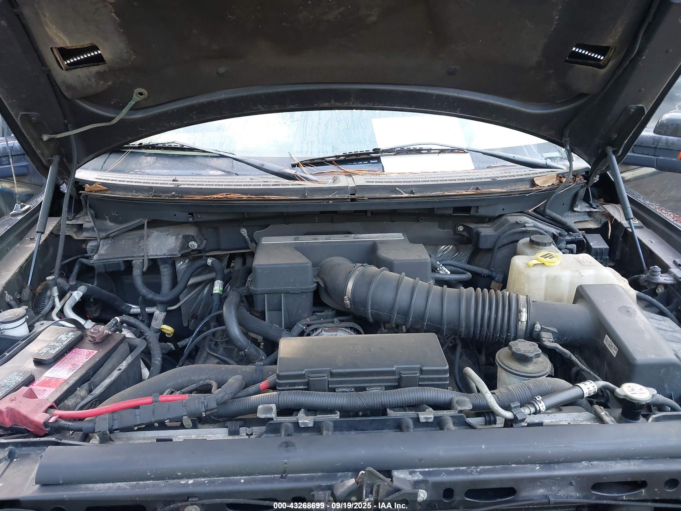 FORD F-150 image 10