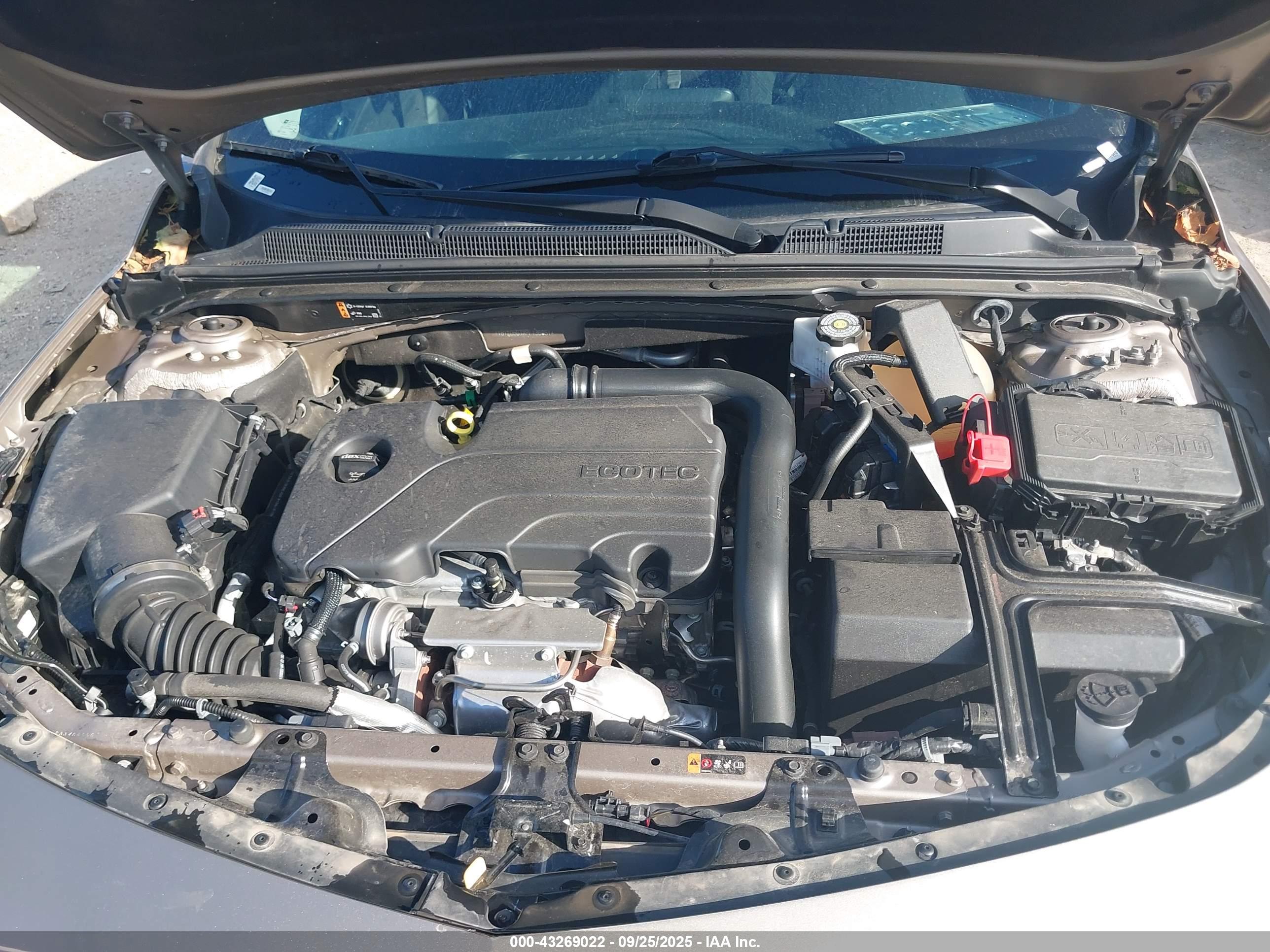 CHEVROLET MALIBU image 10