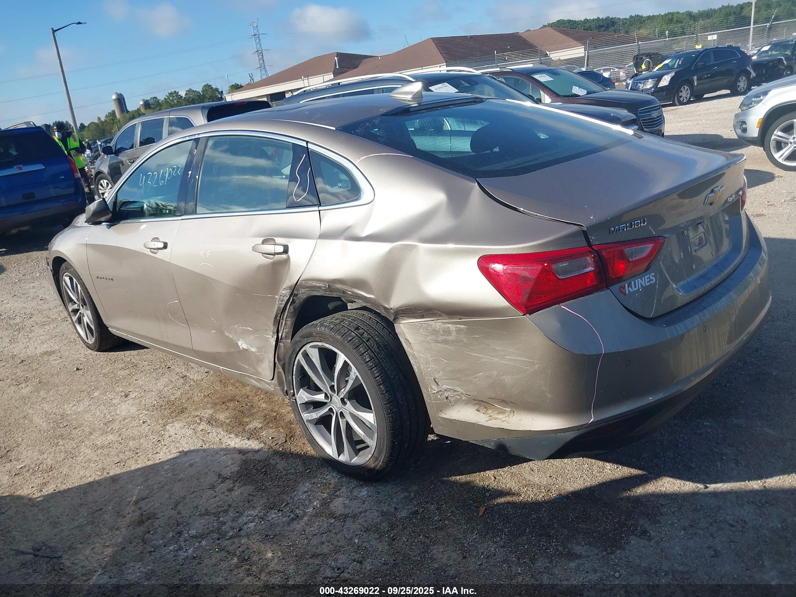 CHEVROLET MALIBU image 3