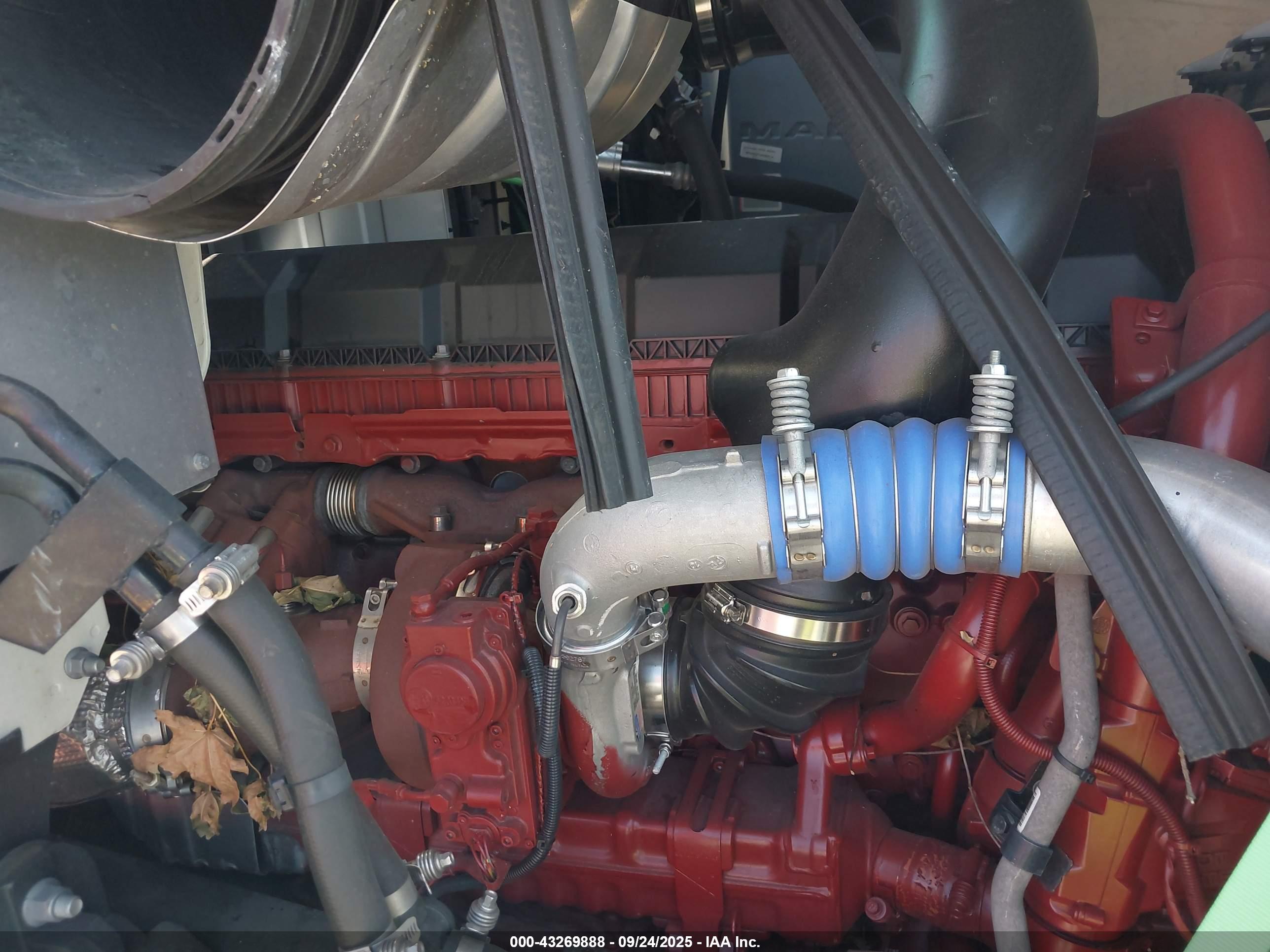 MACK ANTHEM image 10