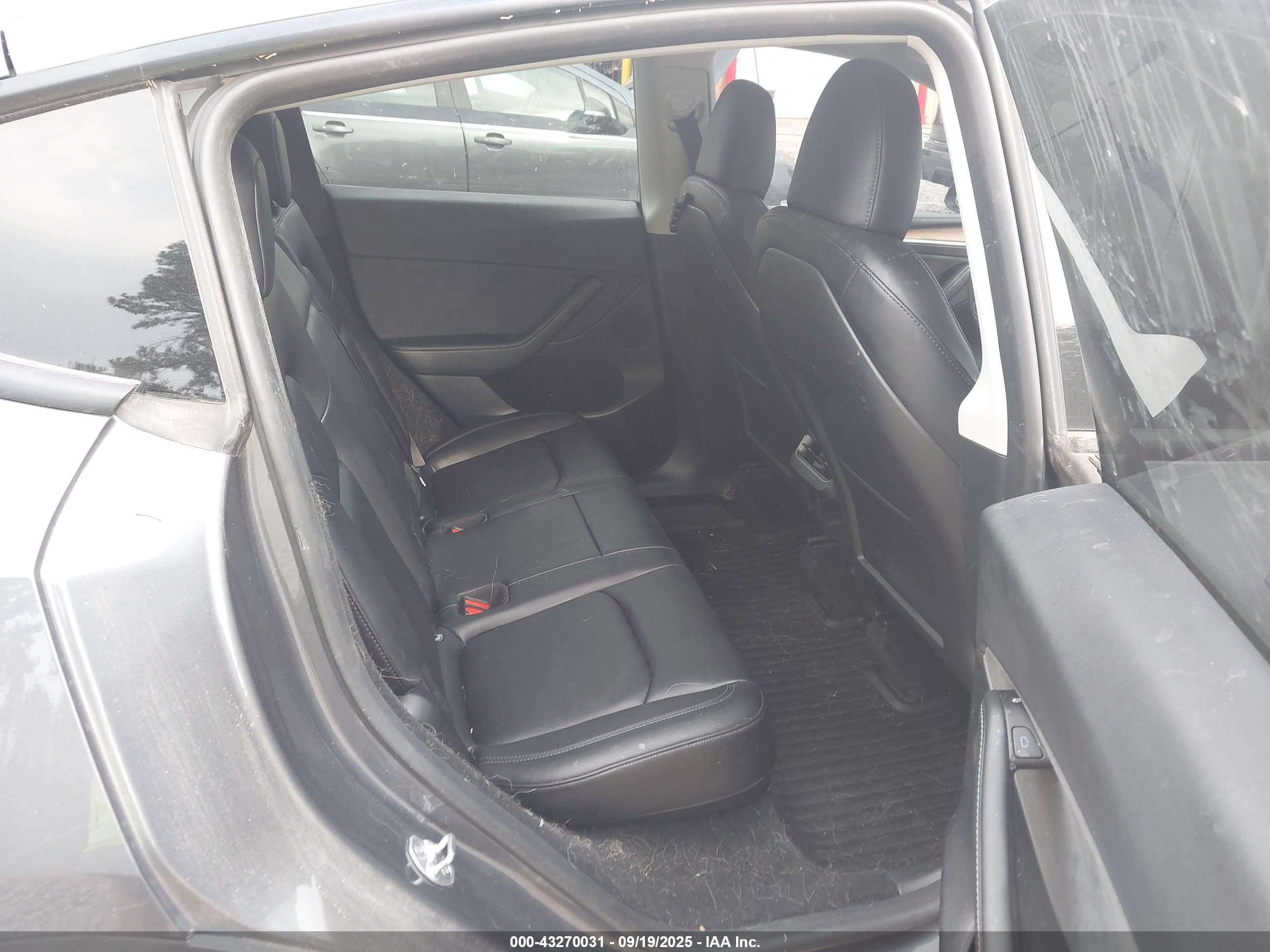 TESLA MODEL image 8