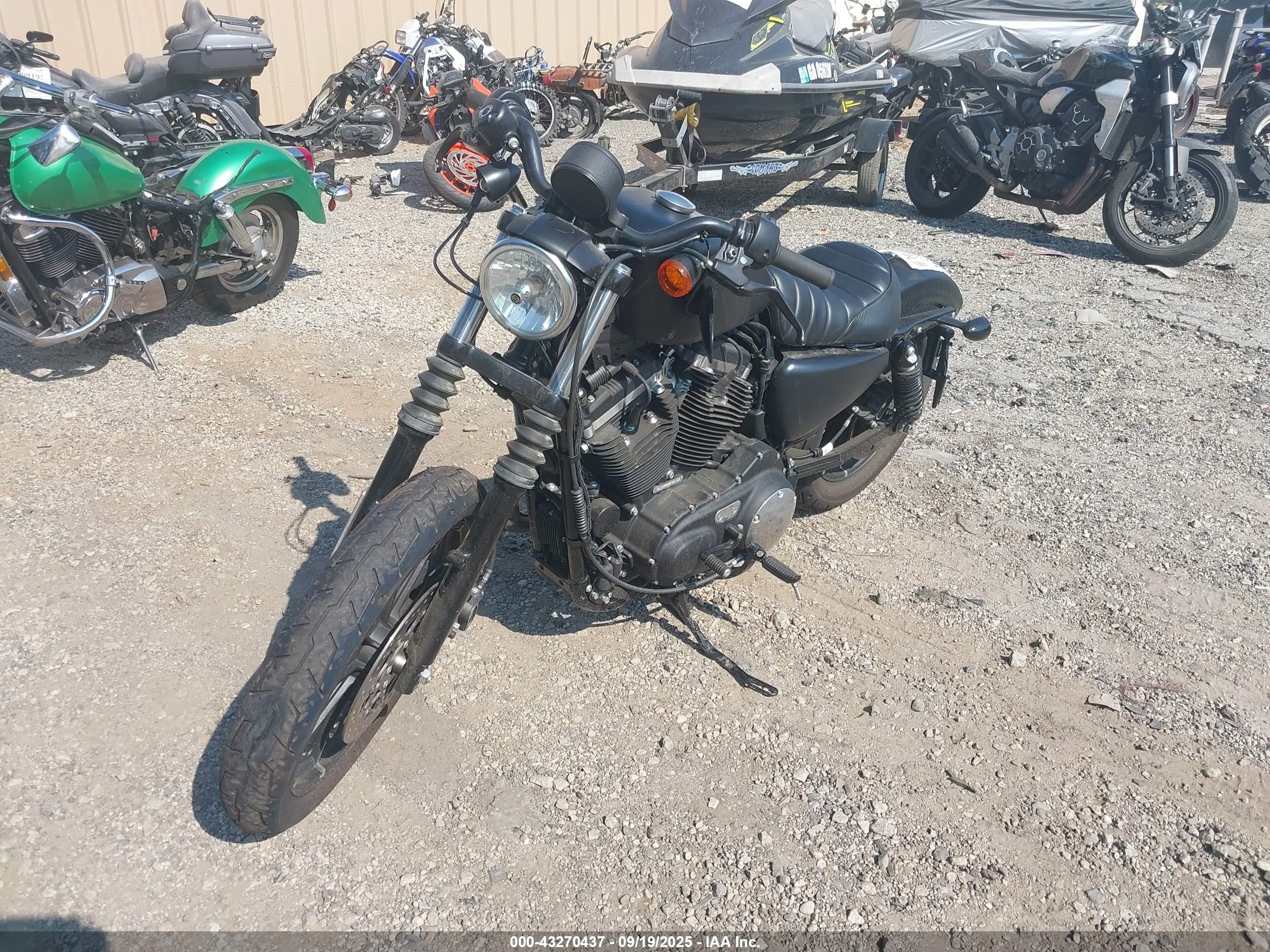 HARLEY-DAVIDSON XL883 image 2
