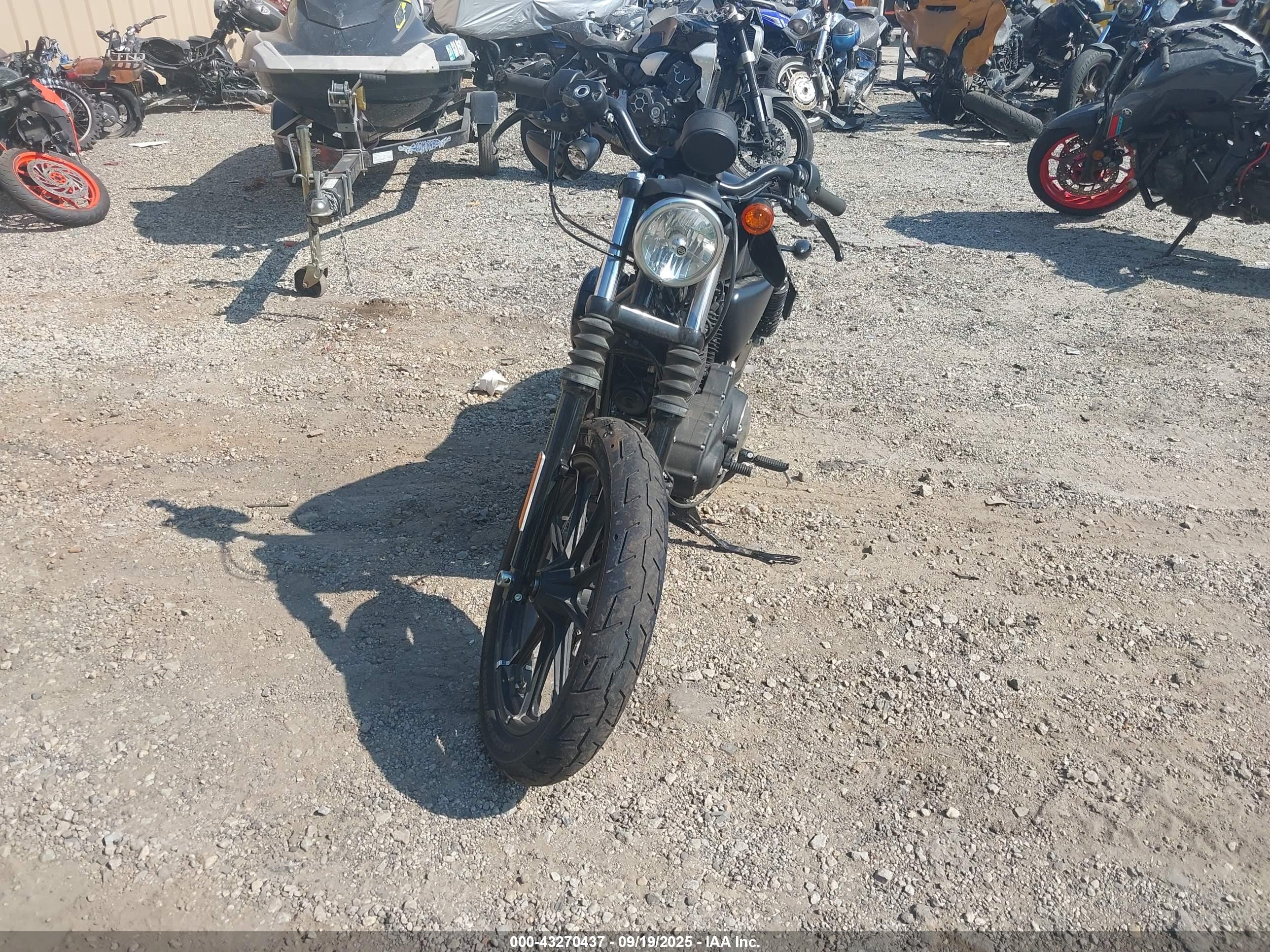 HARLEY-DAVIDSON XL883 image 5