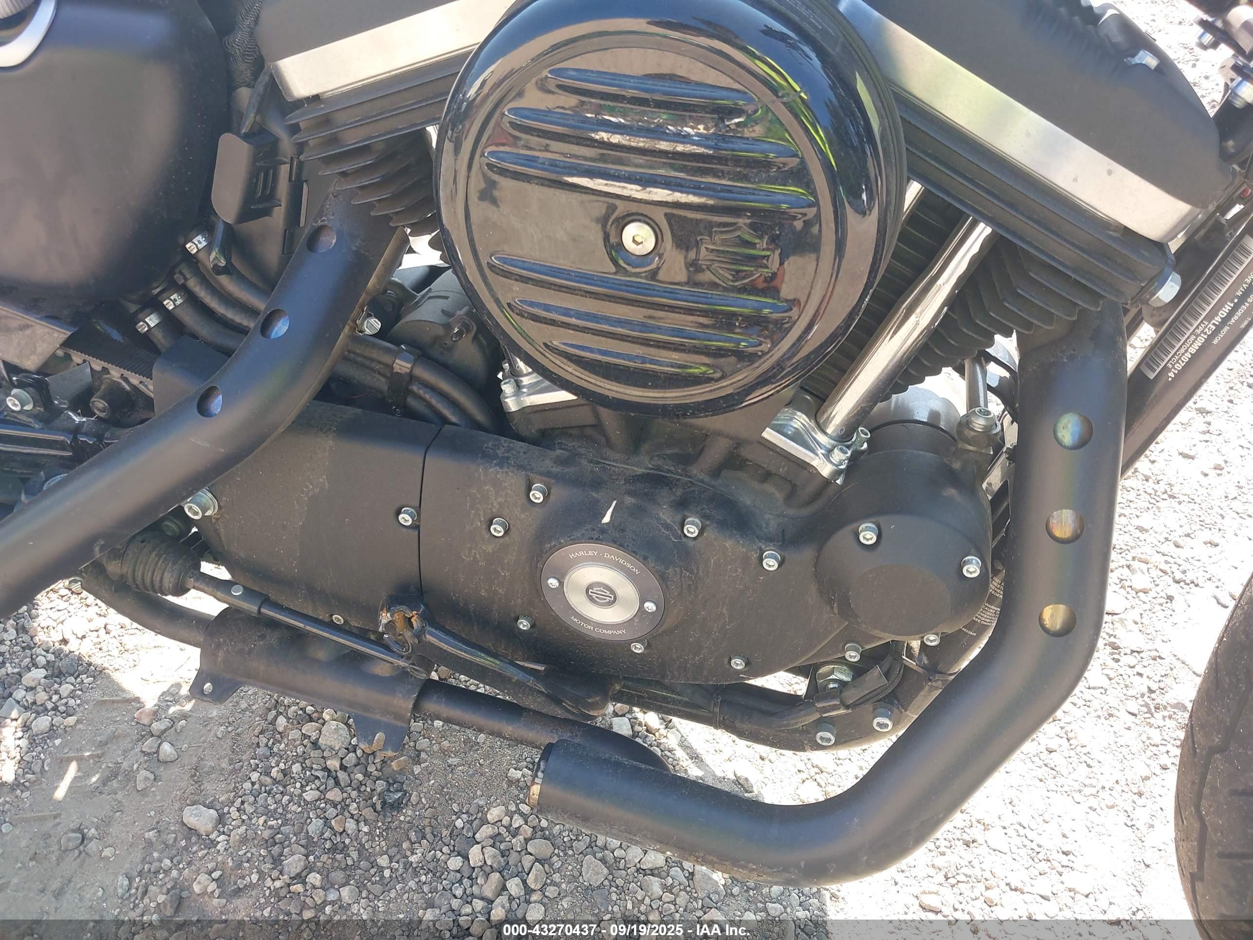 HARLEY-DAVIDSON XL883 image 8