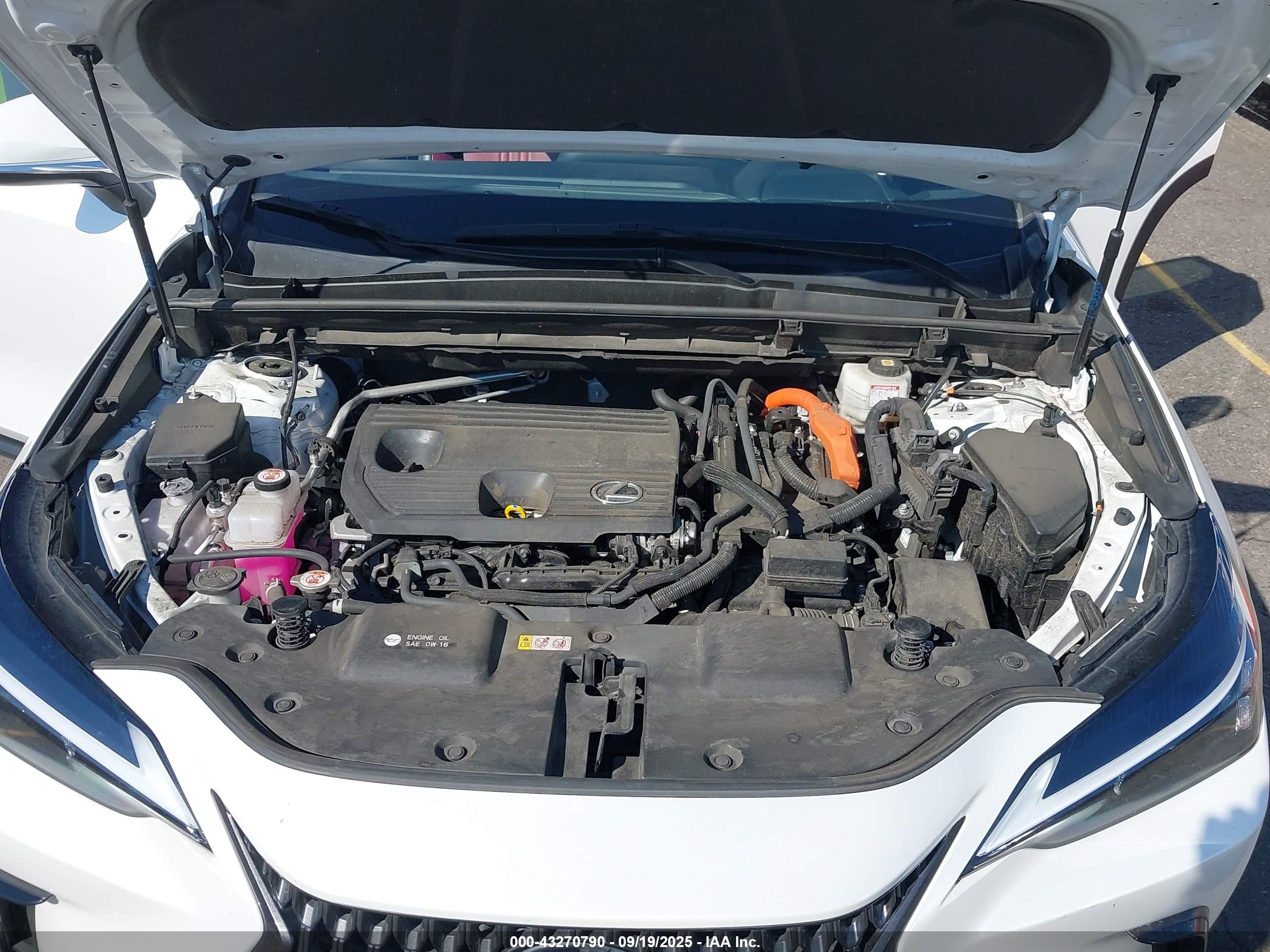 LEXUS NX image 10