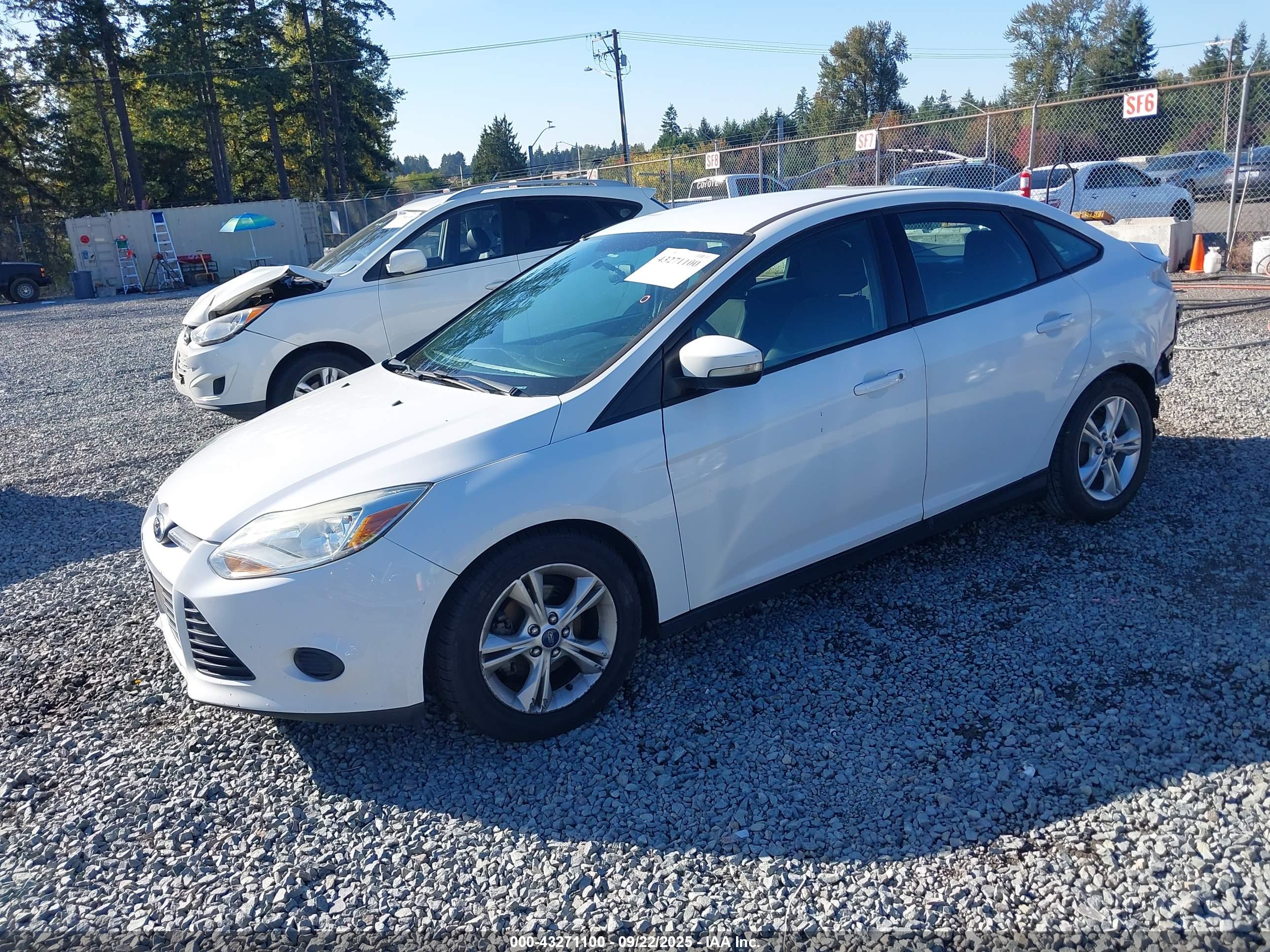 FORD FOCUS image 2