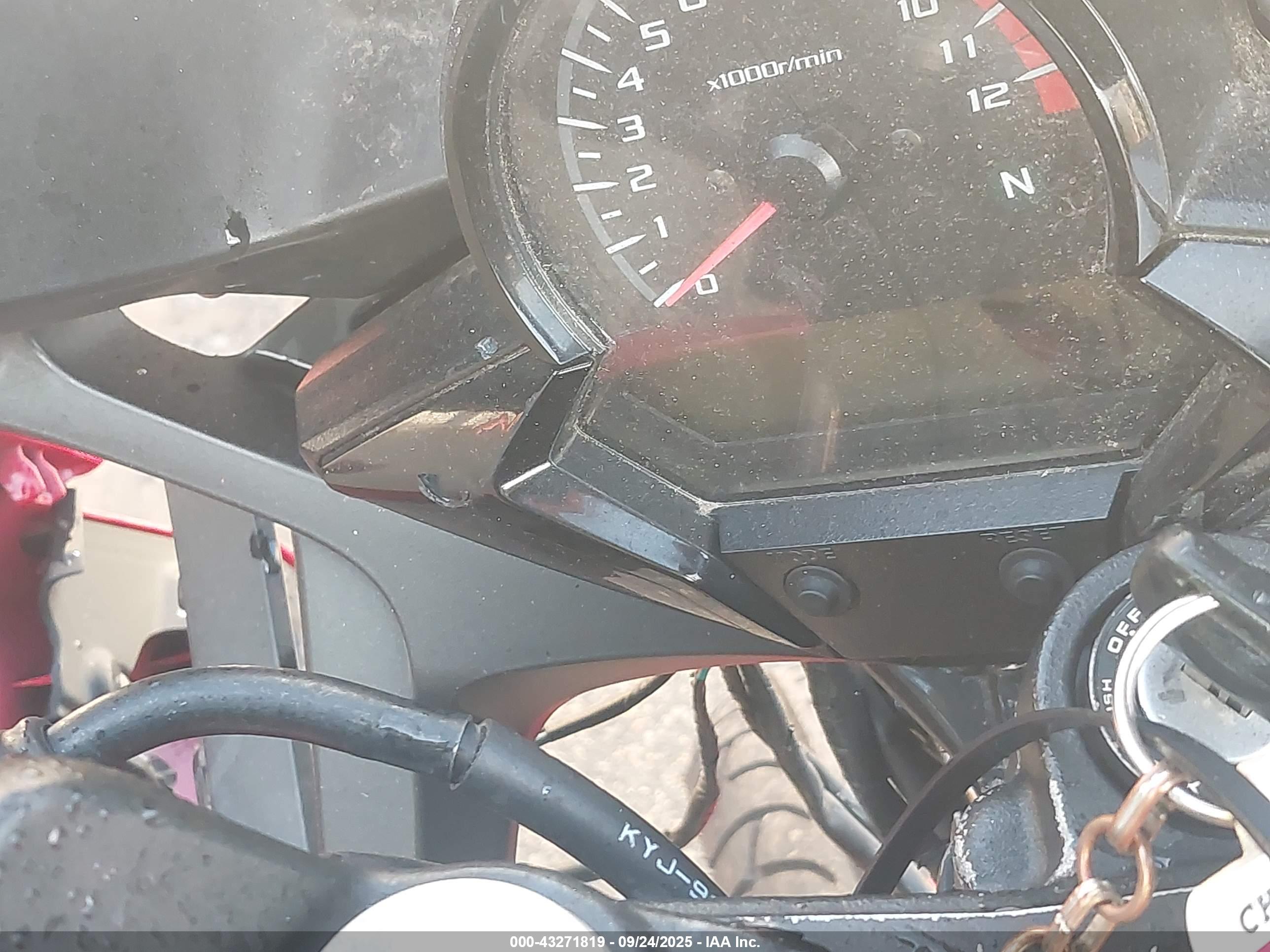 HONDA CBR300 image 7