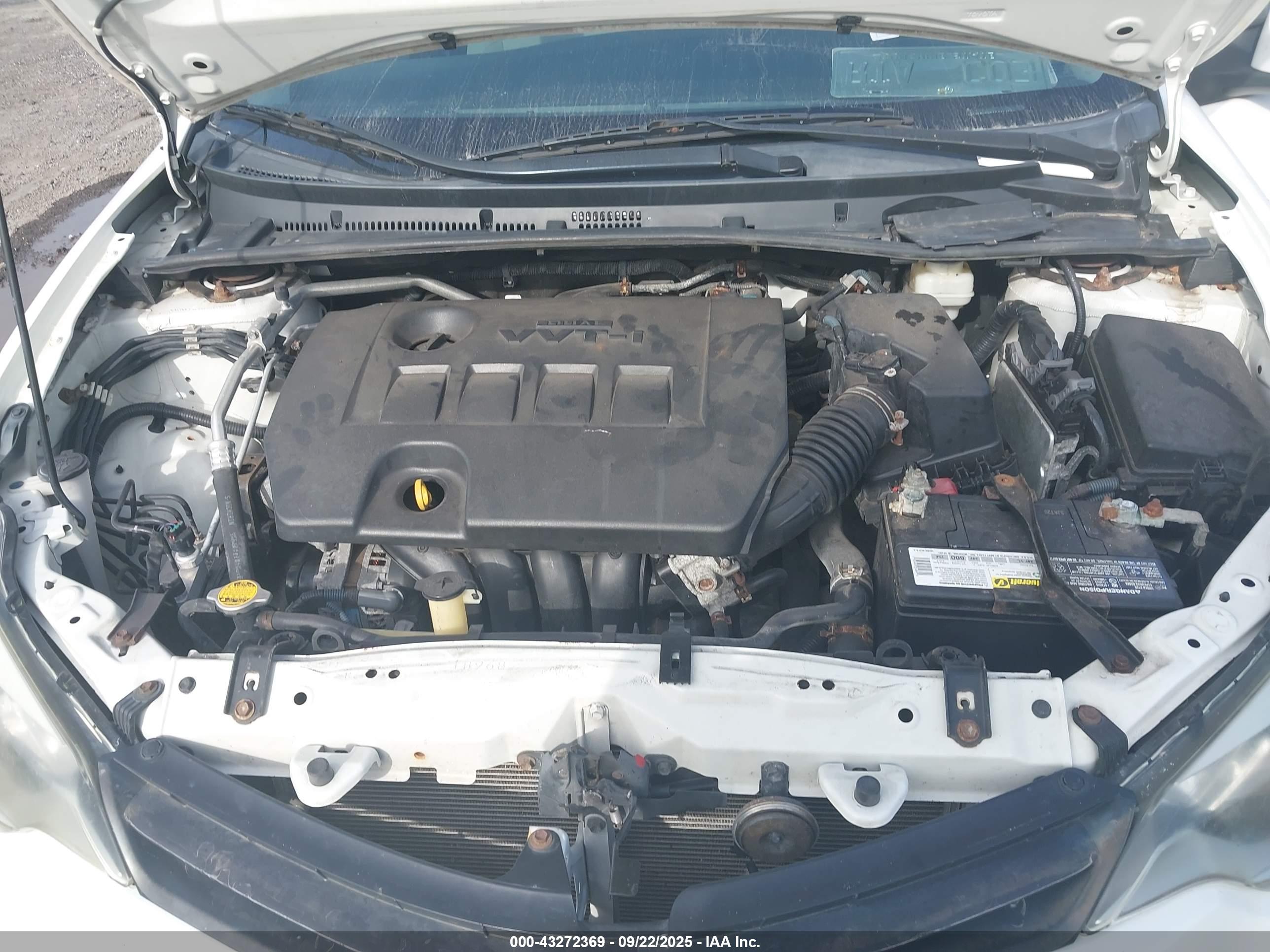 TOYOTA COROLLA image 10