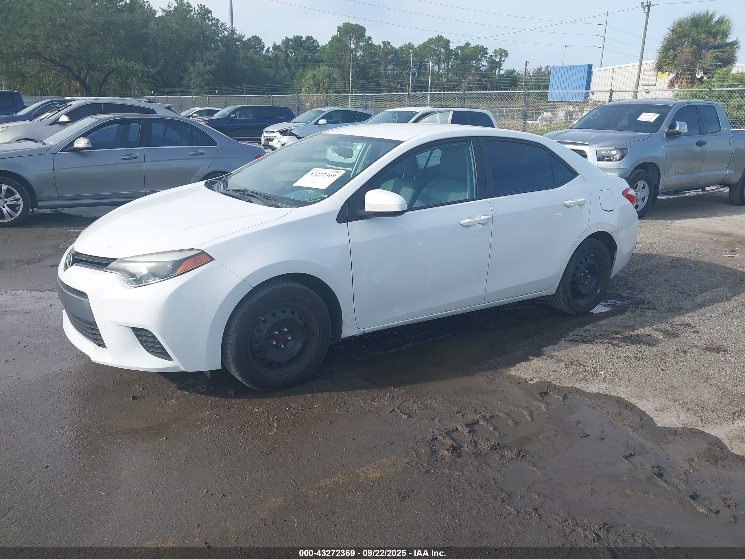 TOYOTA COROLLA image 2