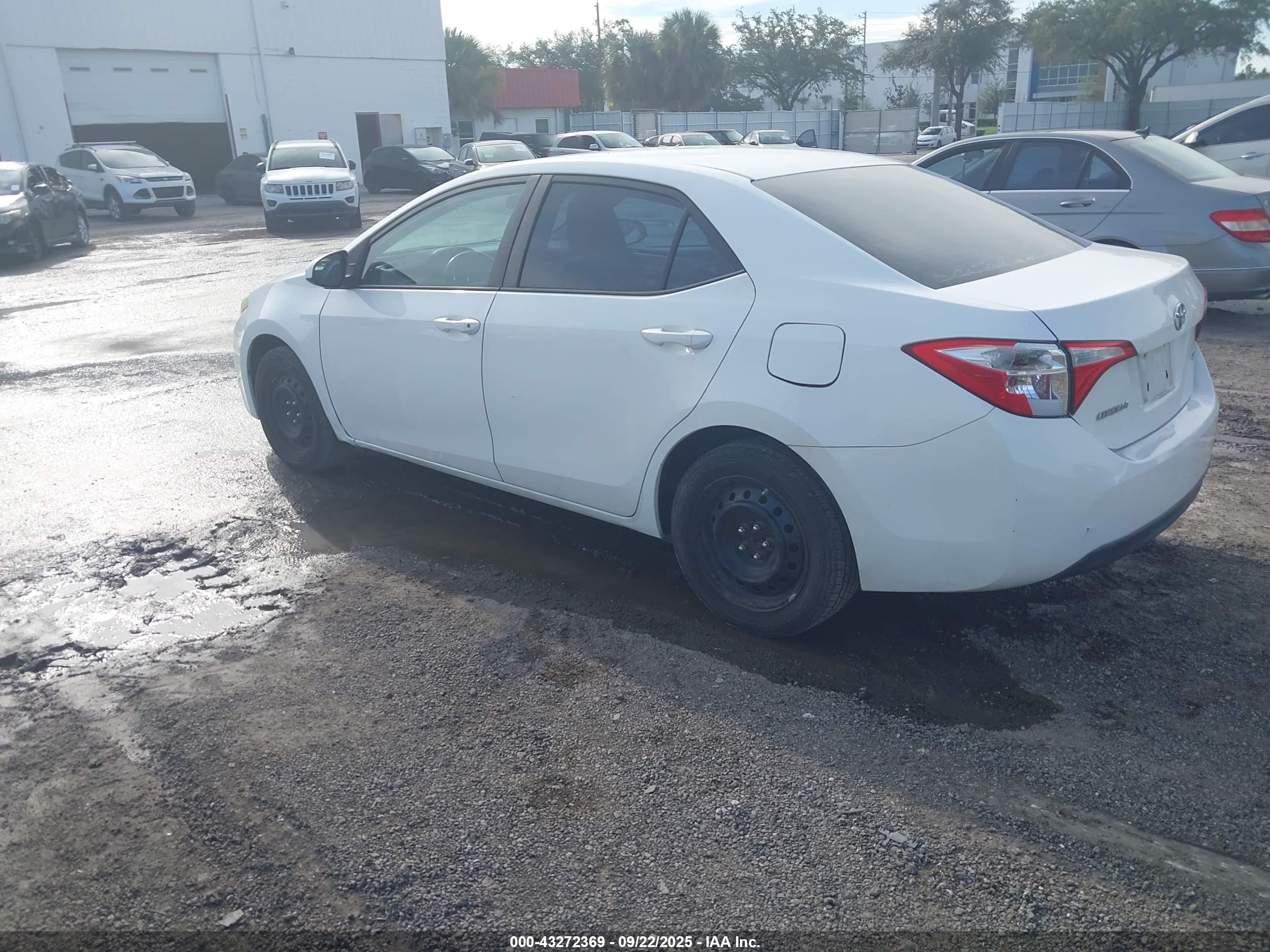 TOYOTA COROLLA image 3