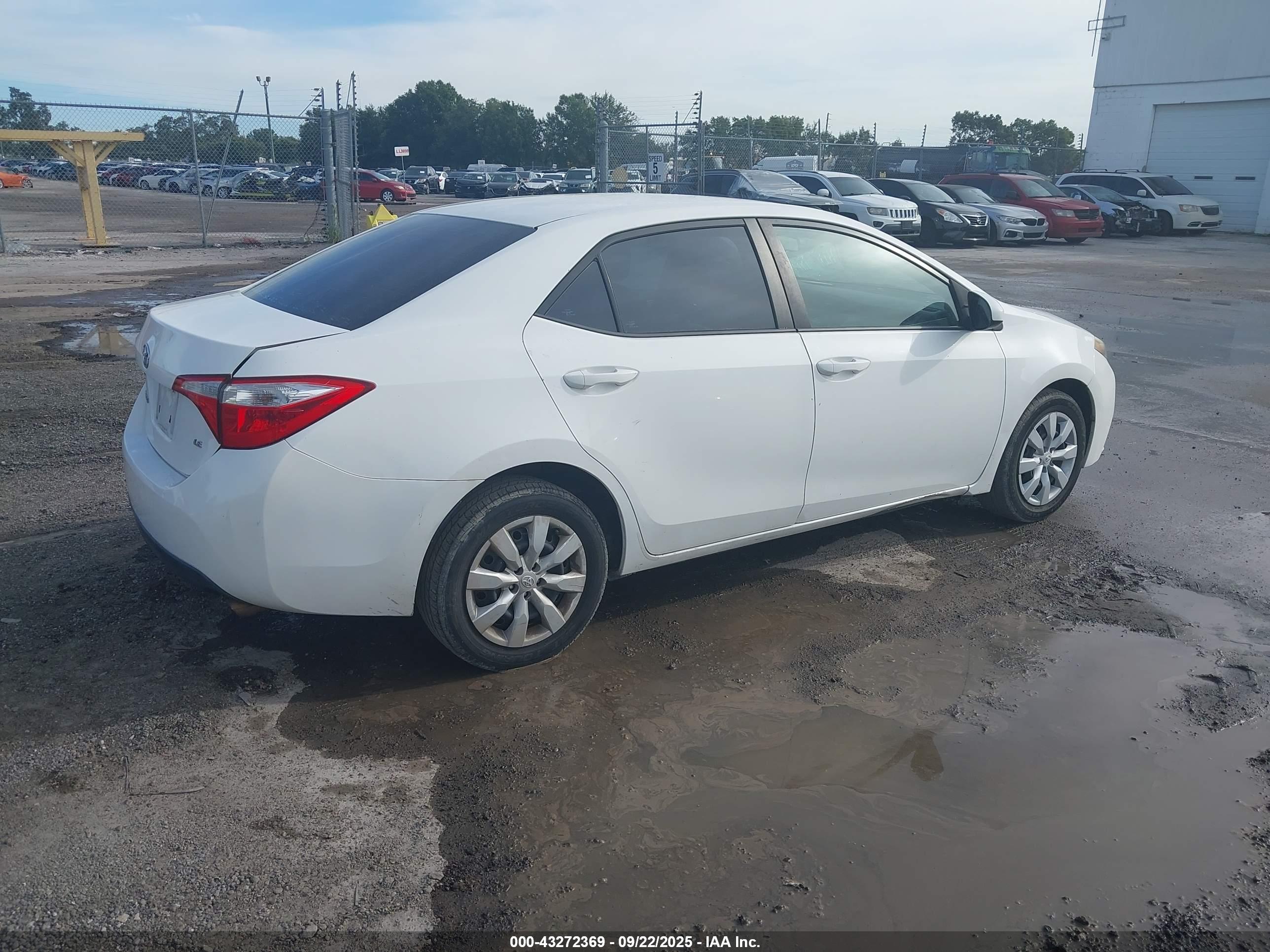TOYOTA COROLLA image 4