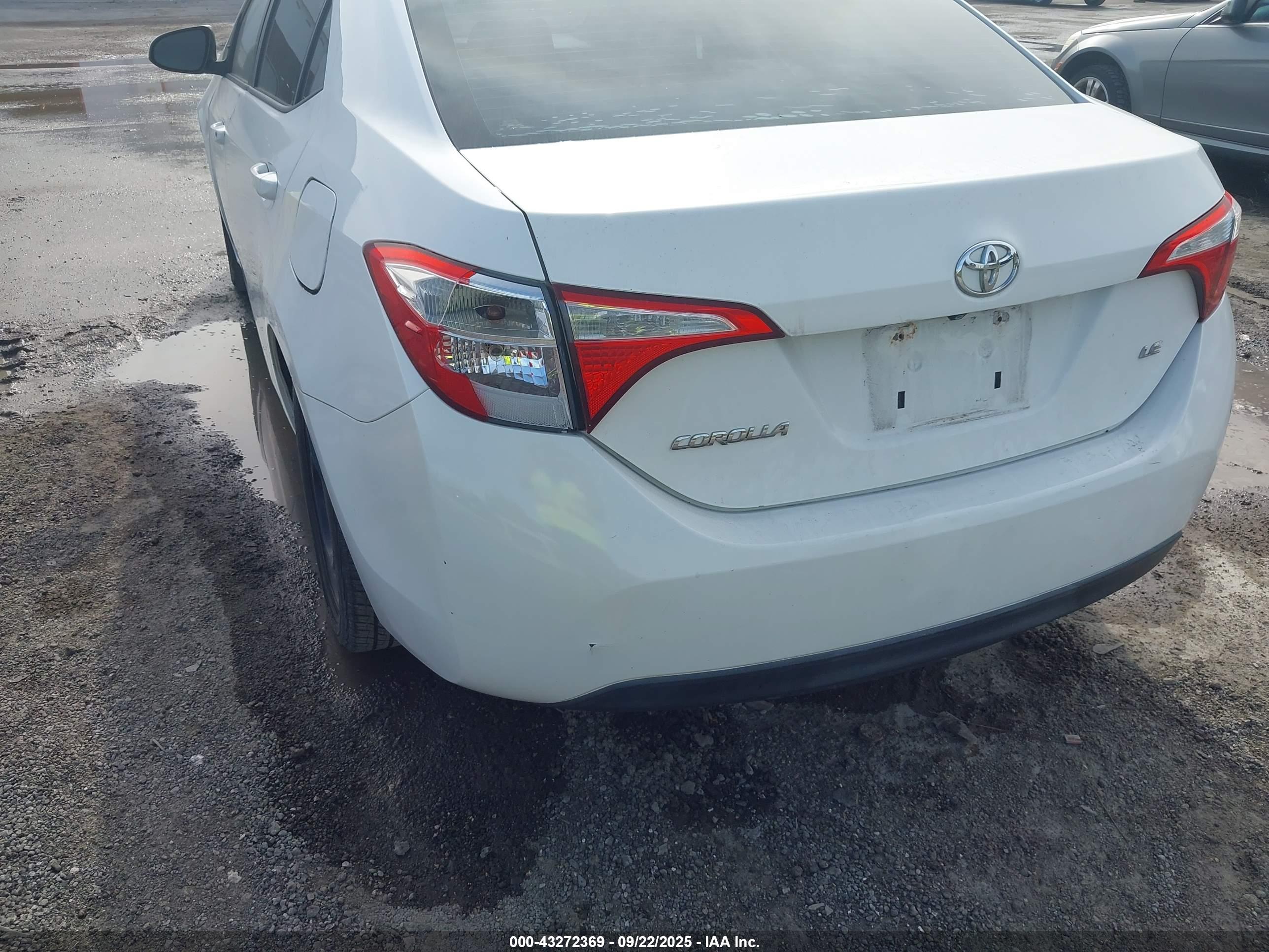 TOYOTA COROLLA image 6