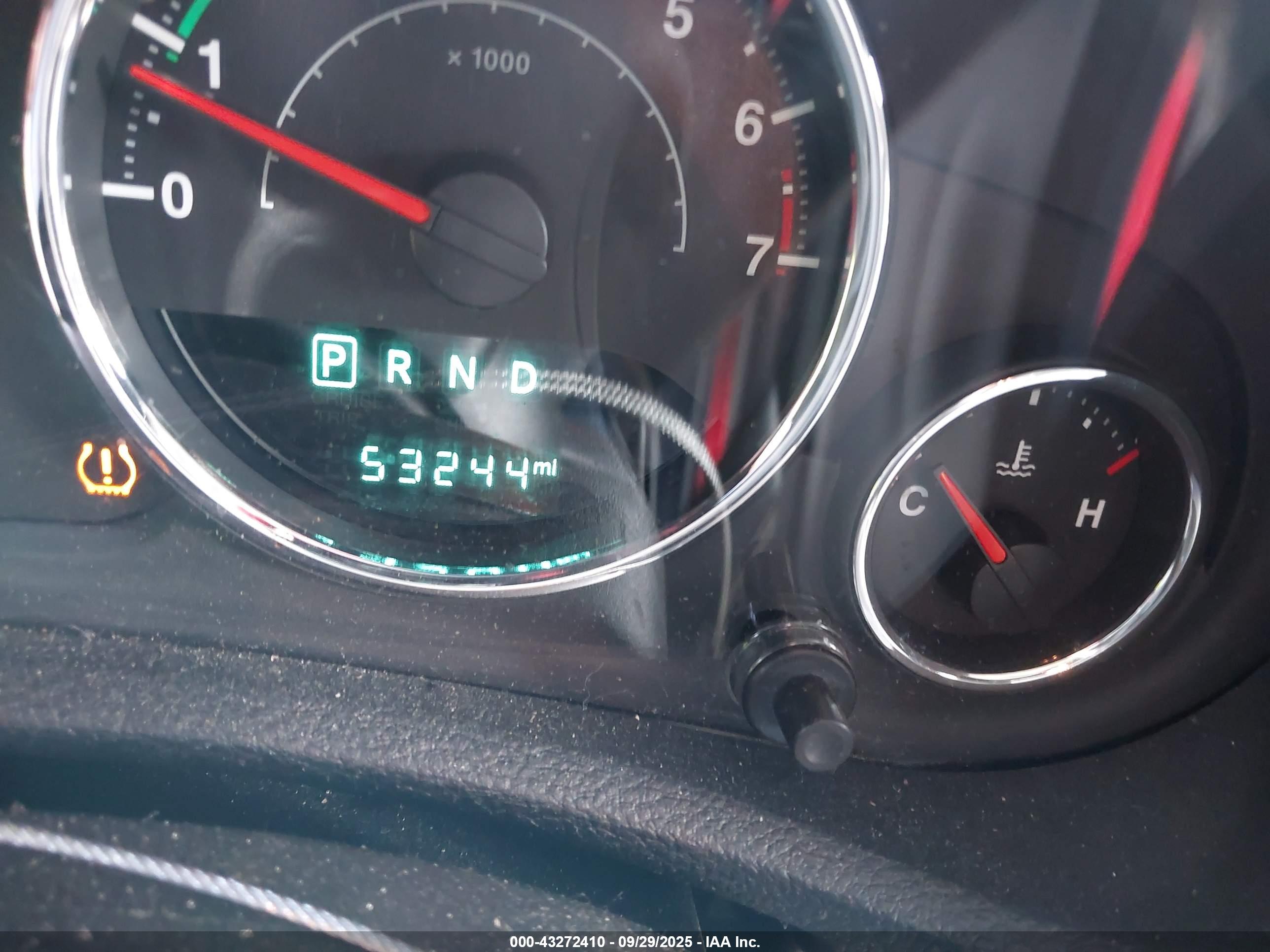 JEEP WRANGLER image 7