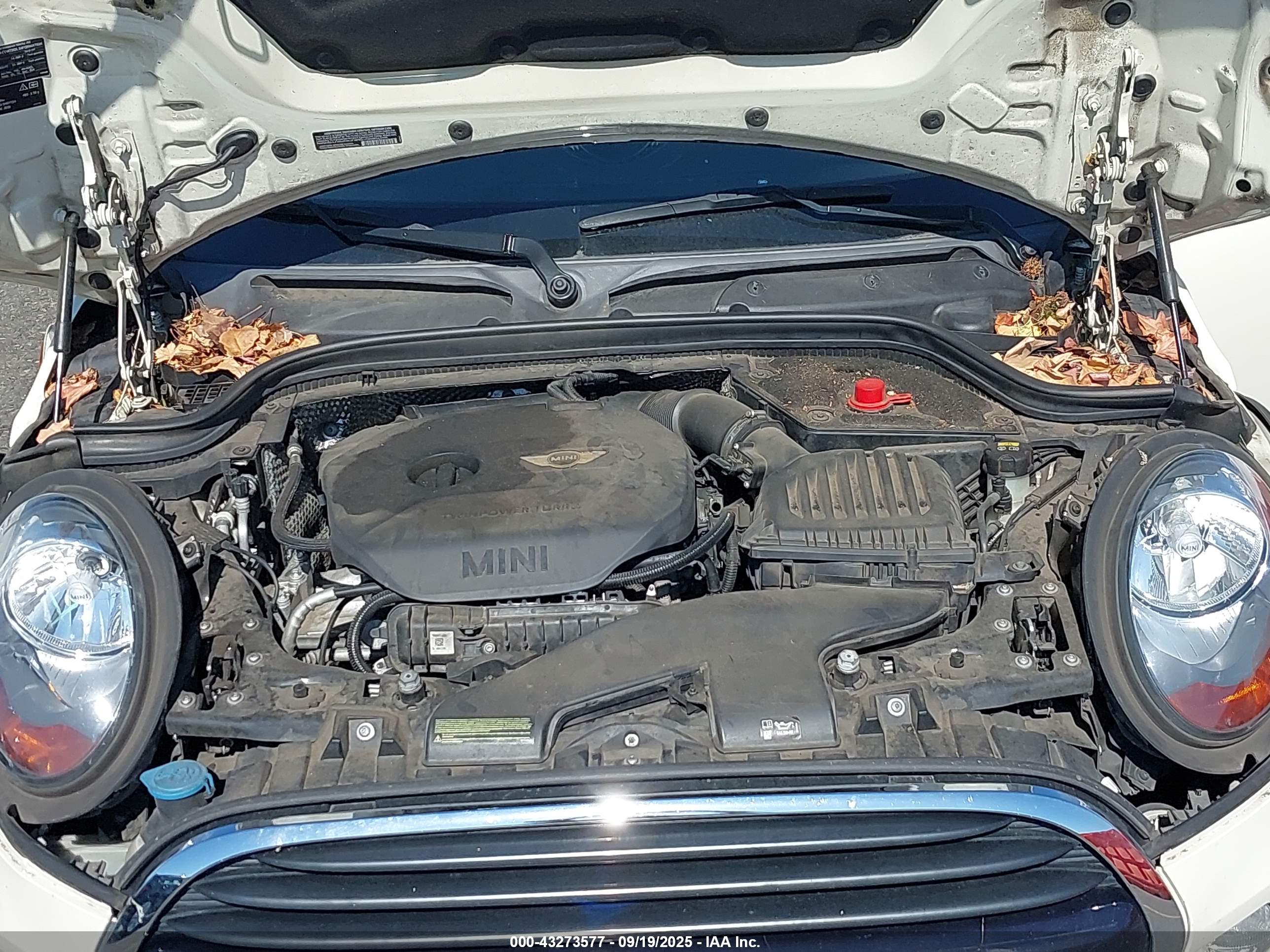 MINI HARDTOP image 10