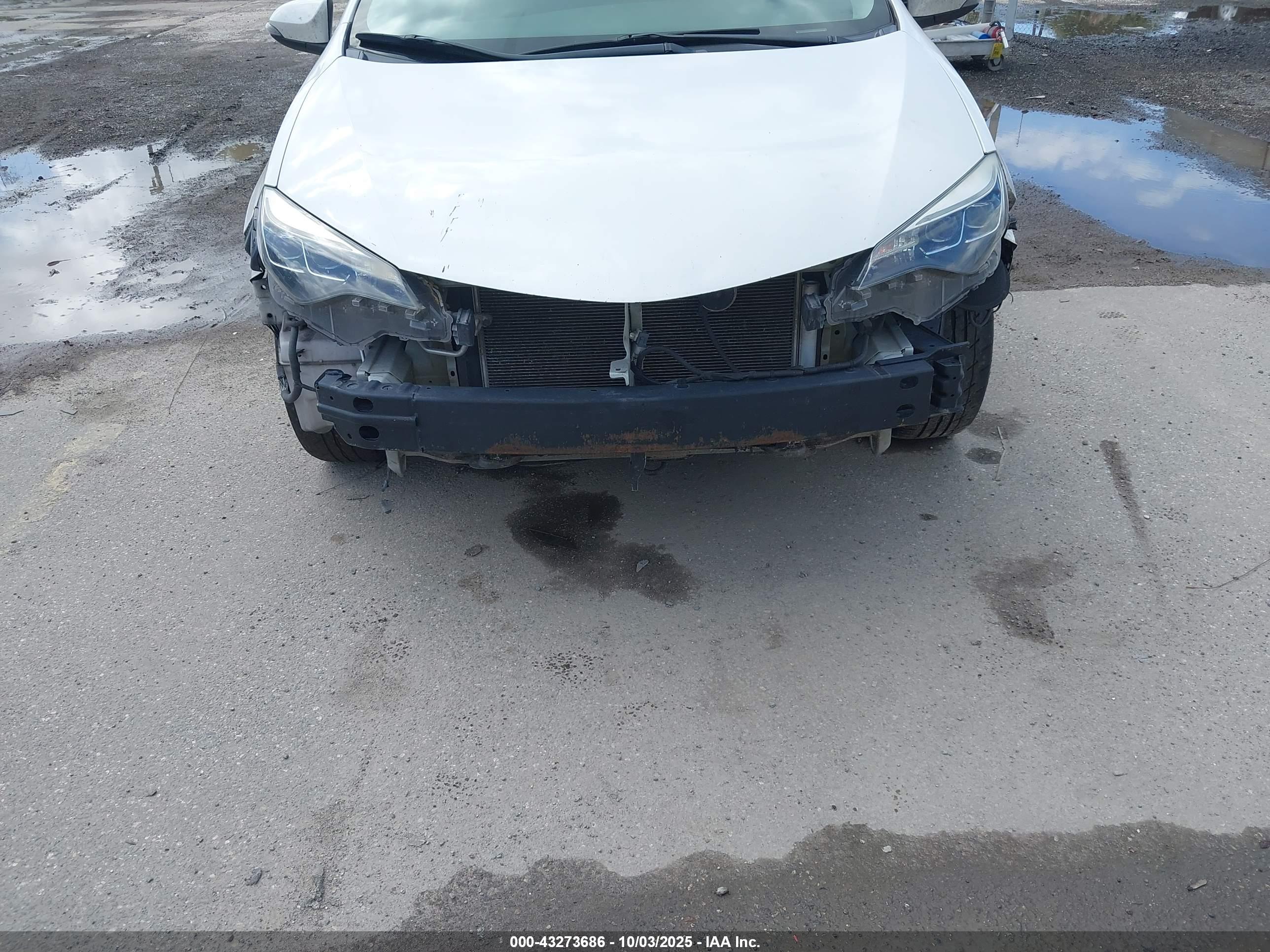 TOYOTA COROLLA image 6