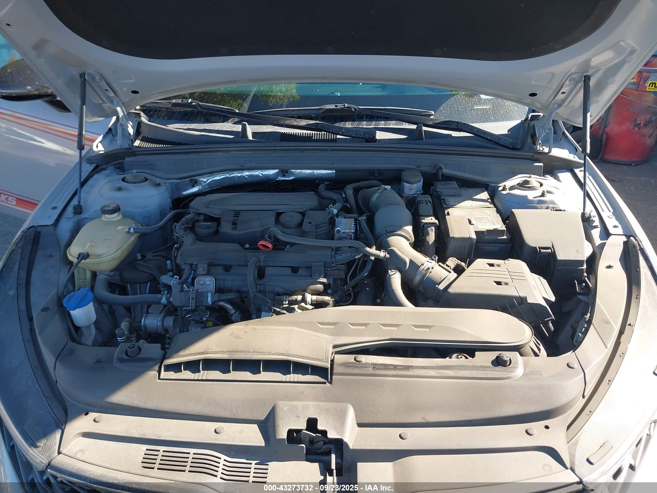 KIA K5 image 10