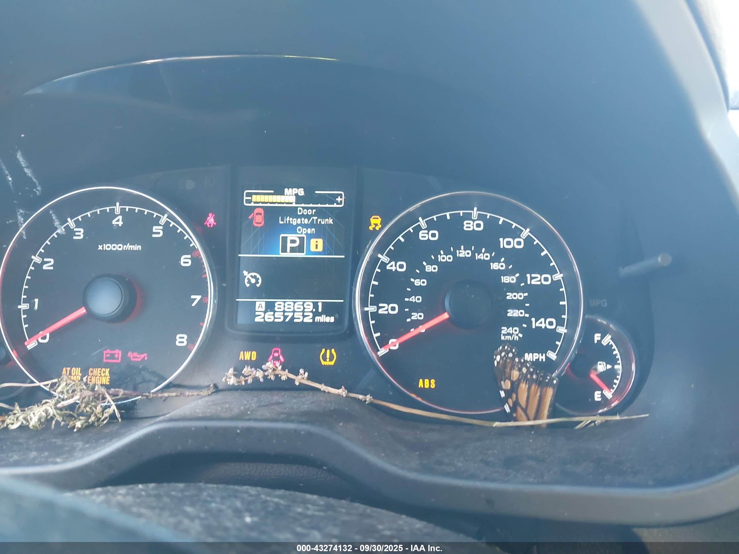 SUBARU OUTBACK image 7