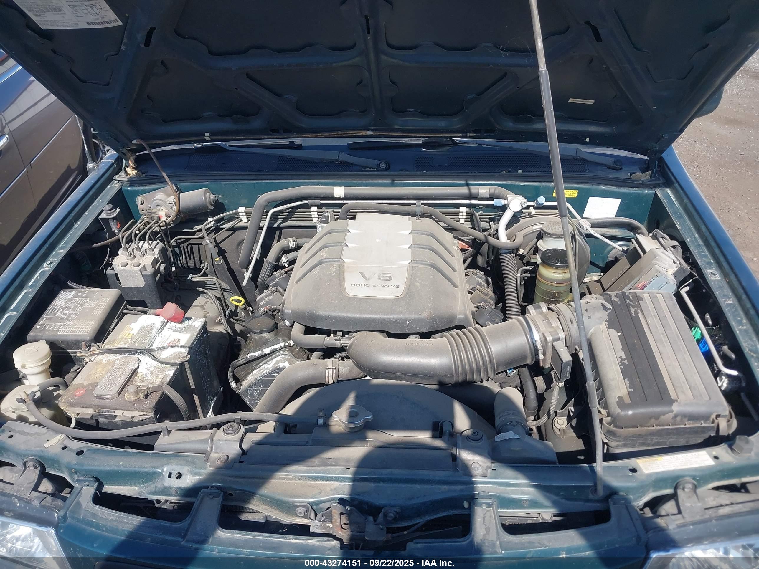 HONDA PASSPORT image 10