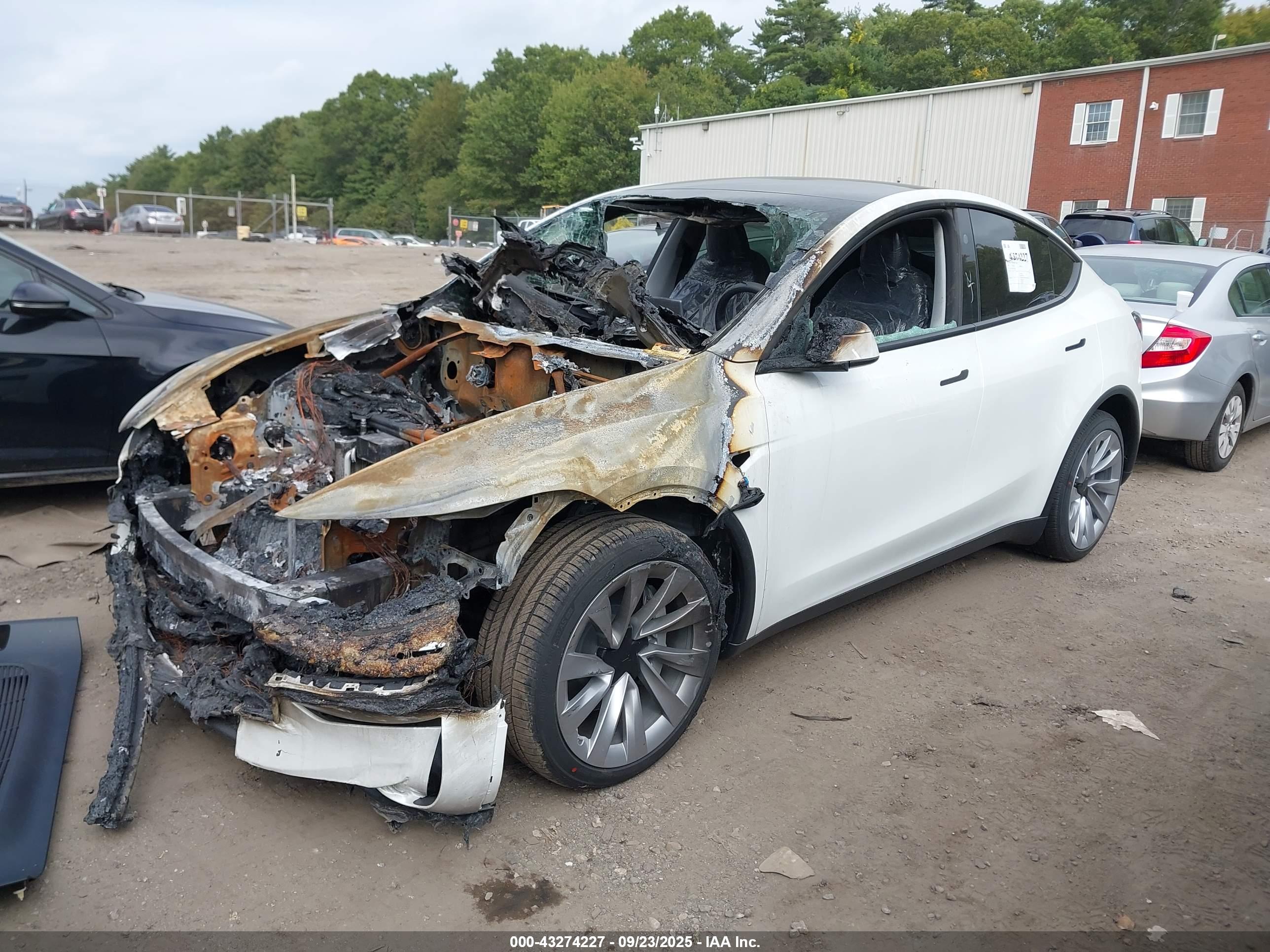 TESLA MODEL image 2
