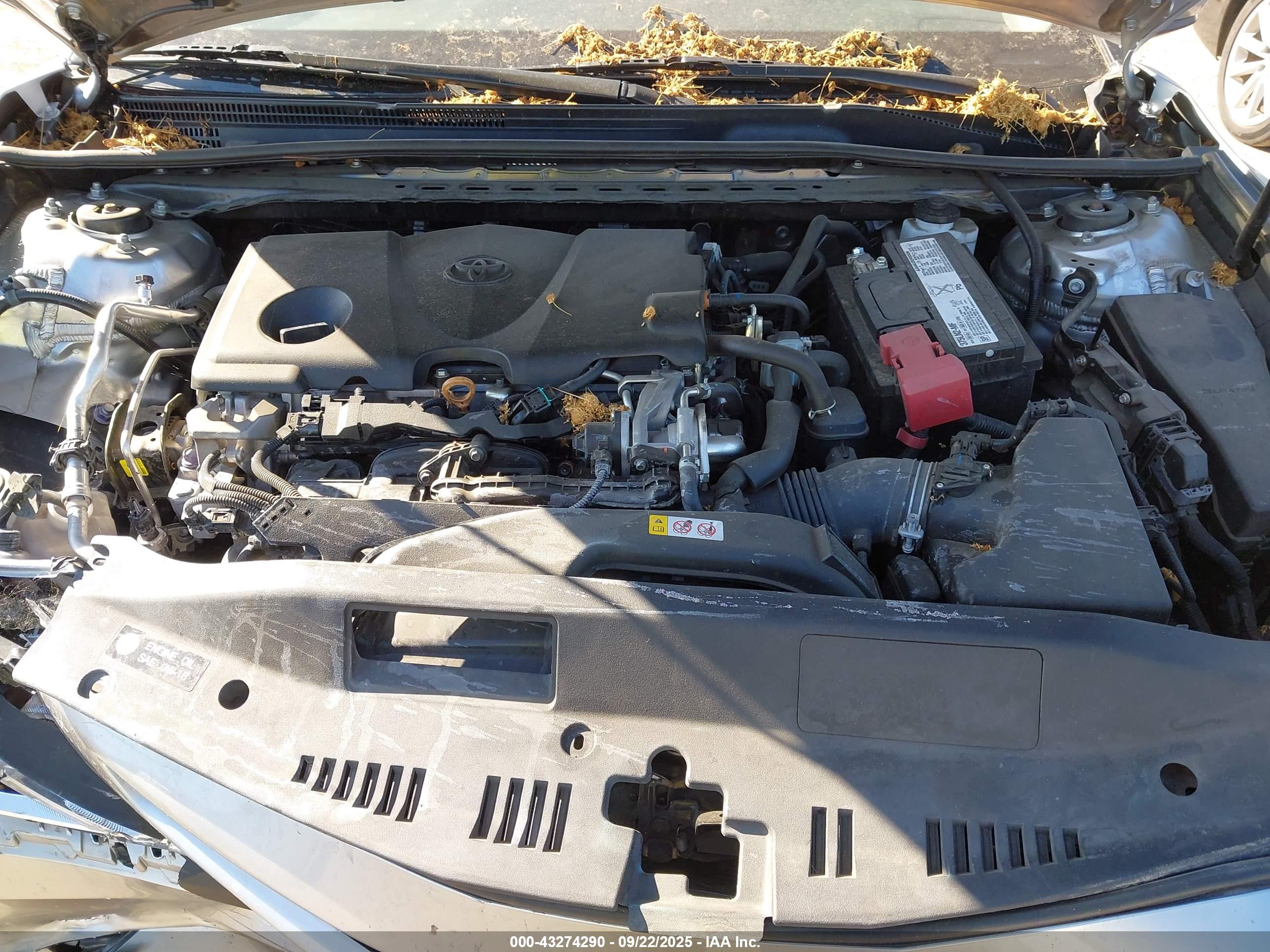 TOYOTA CAMRY image 10