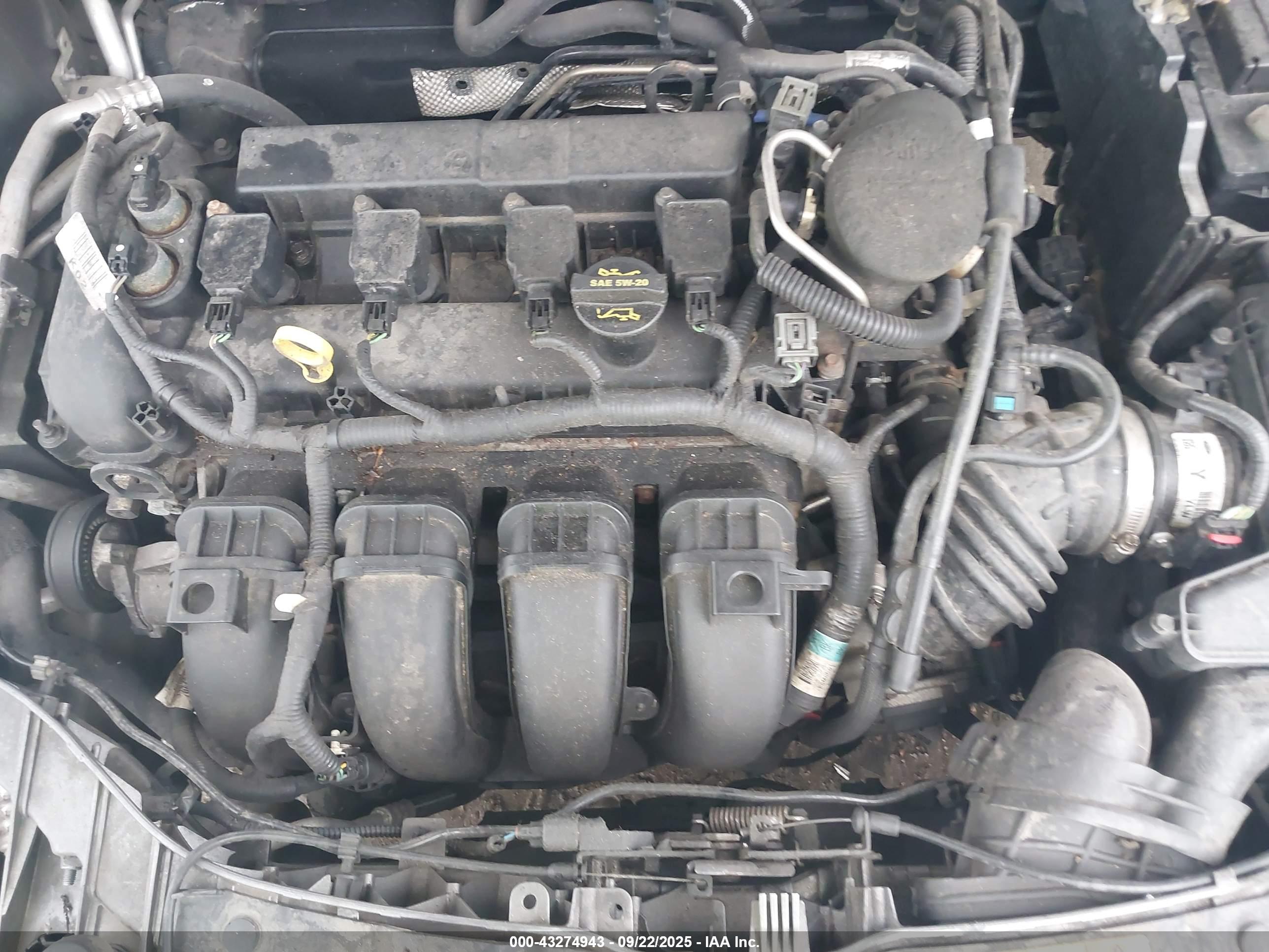 FORD FOCUS image 10