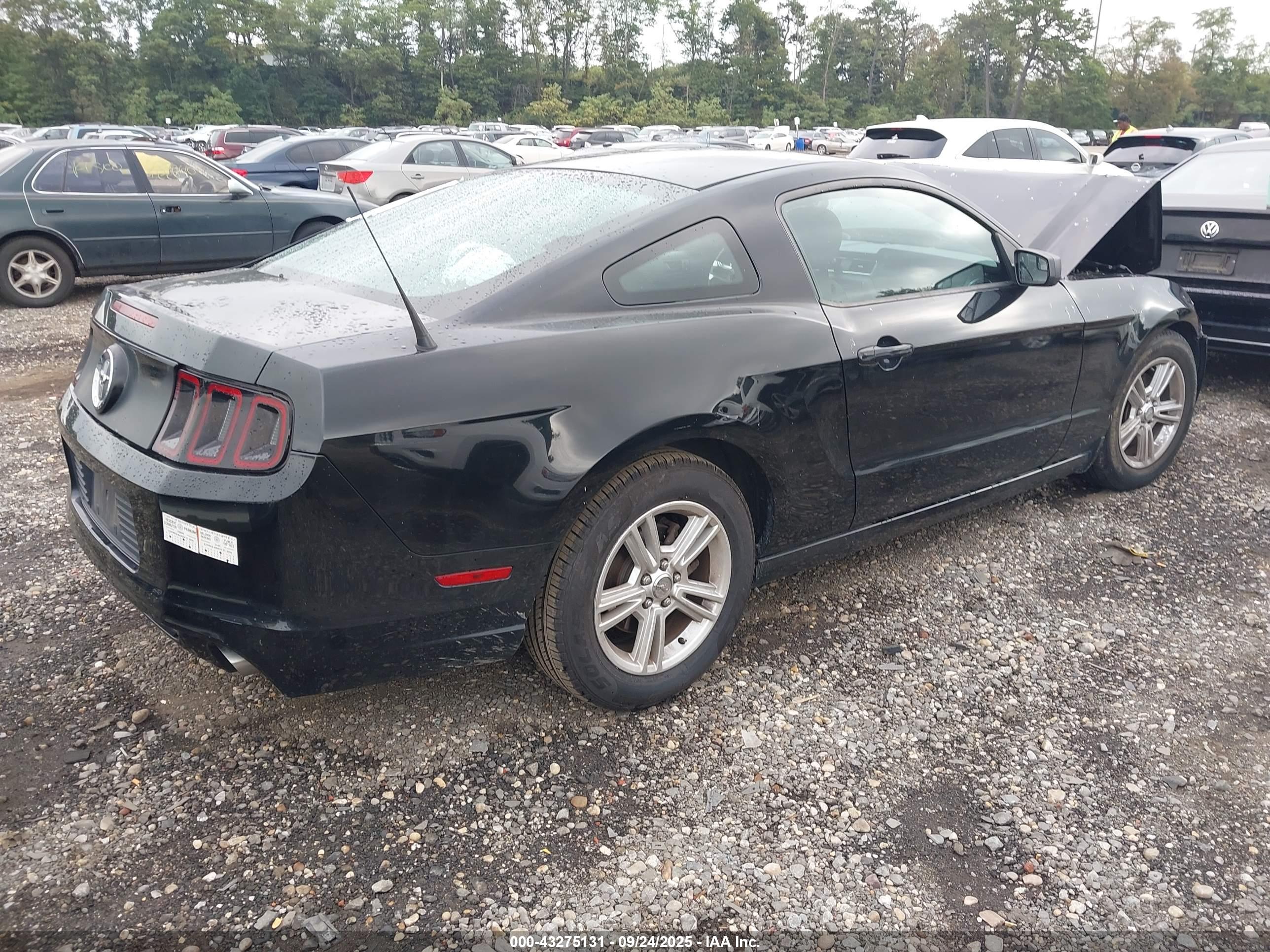 FORD MUSTANG image 4