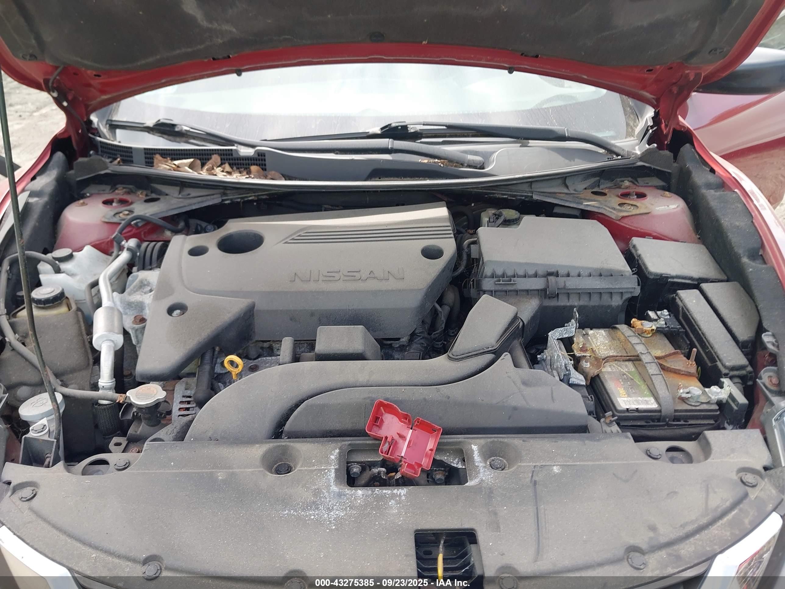 NISSAN ALTIMA image 10