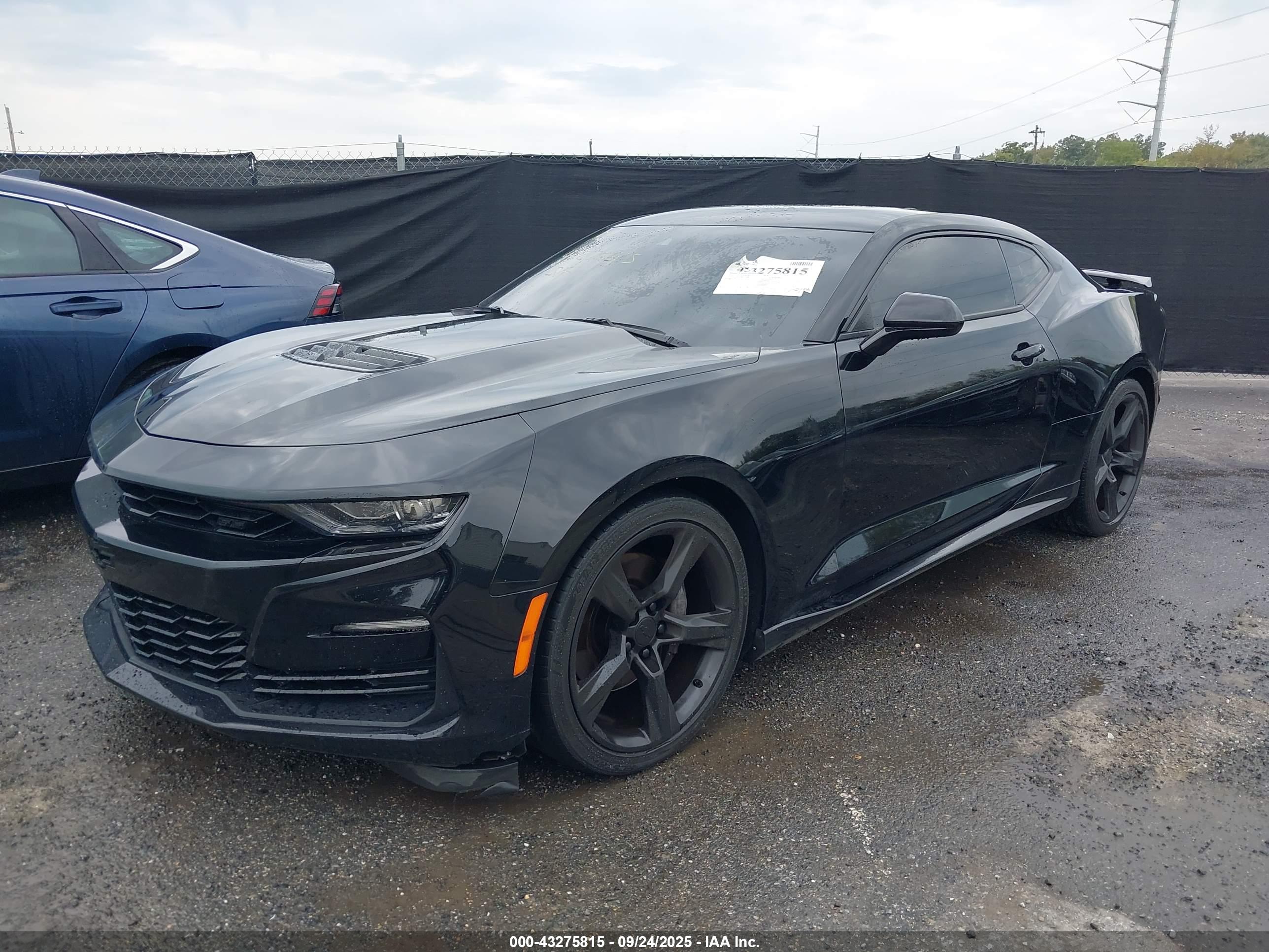 CHEVROLET CAMARO image 2