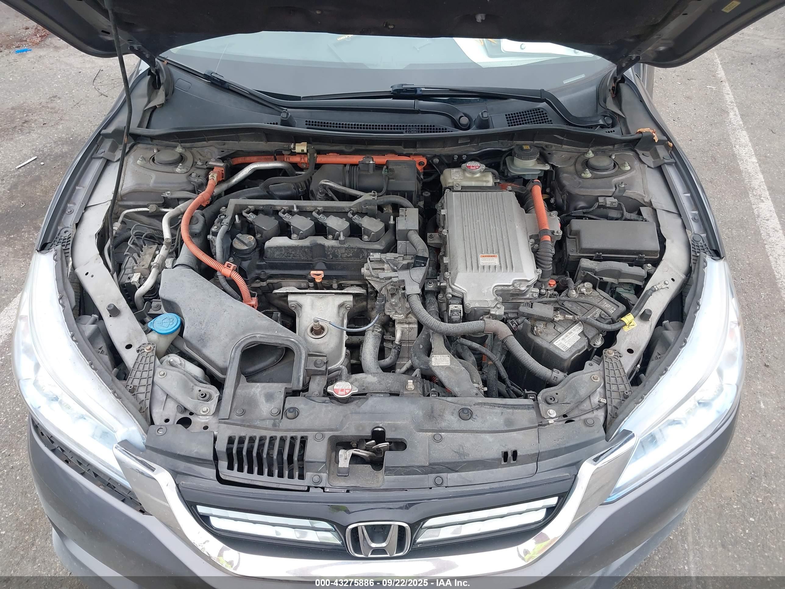 HONDA ACCORD image 10