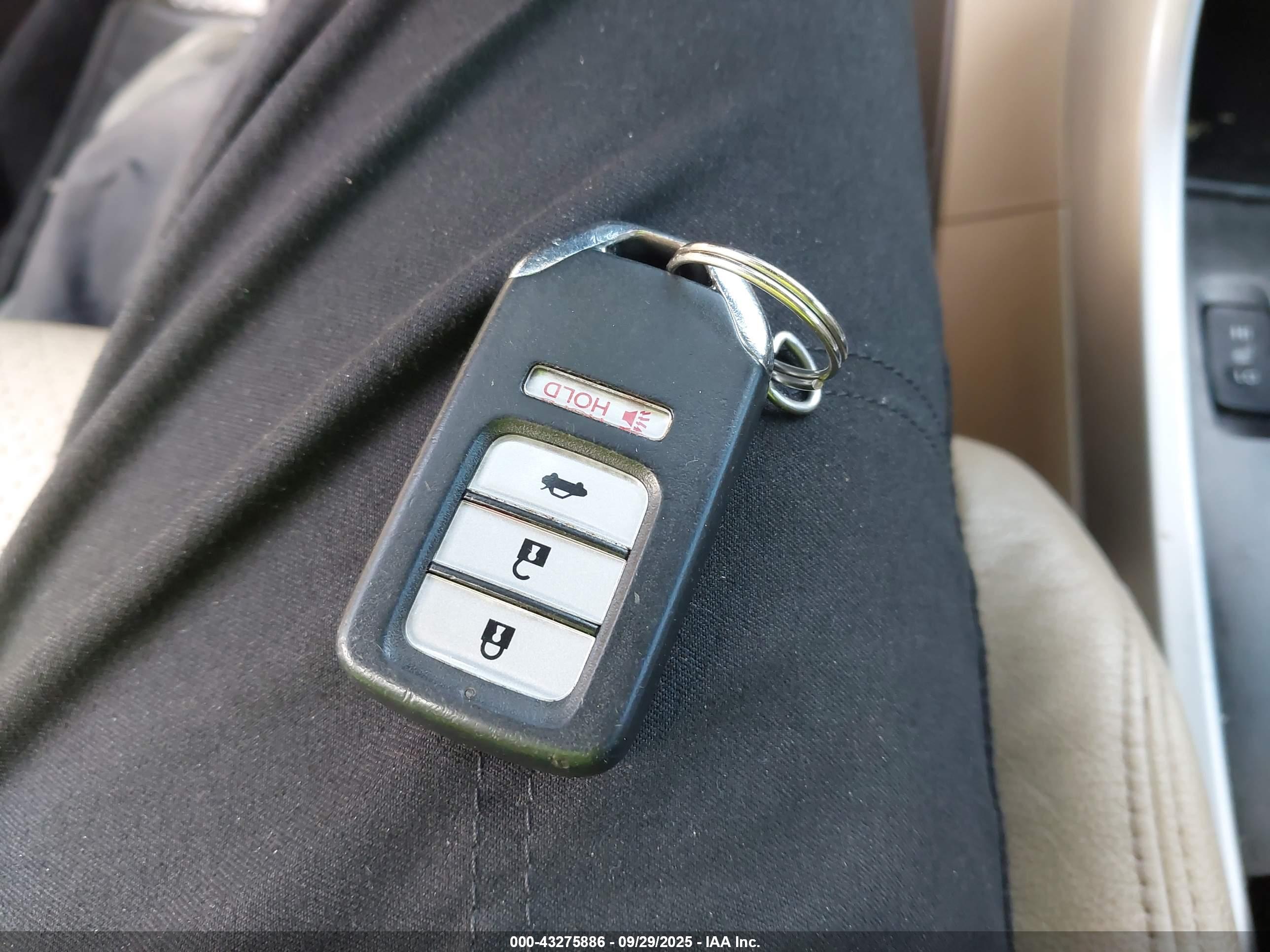 HONDA ACCORD image 11