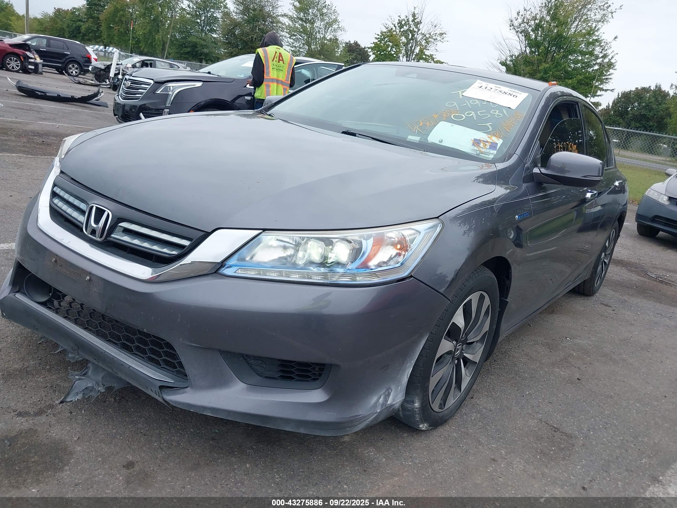 HONDA ACCORD image 2